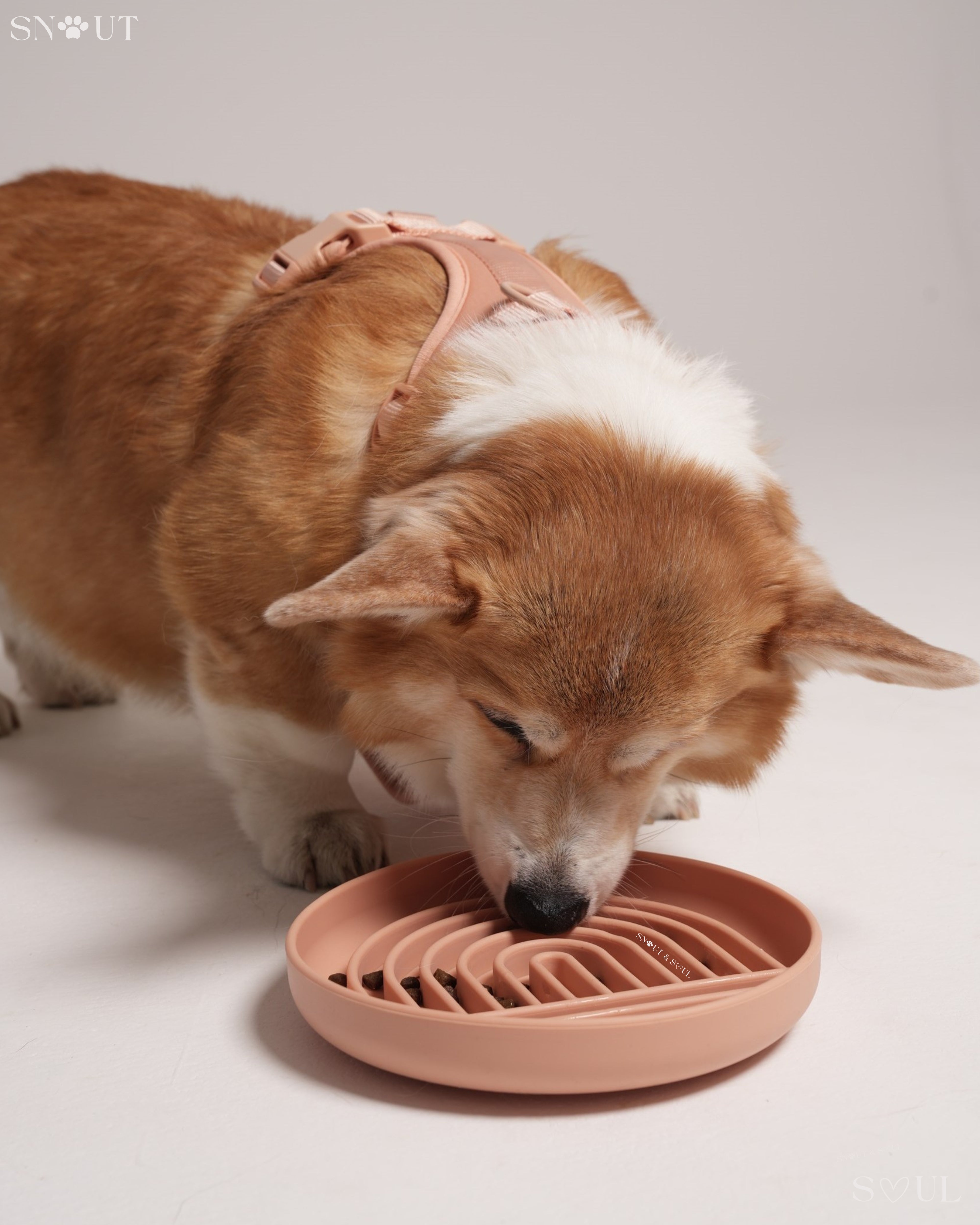 Slow Feeder