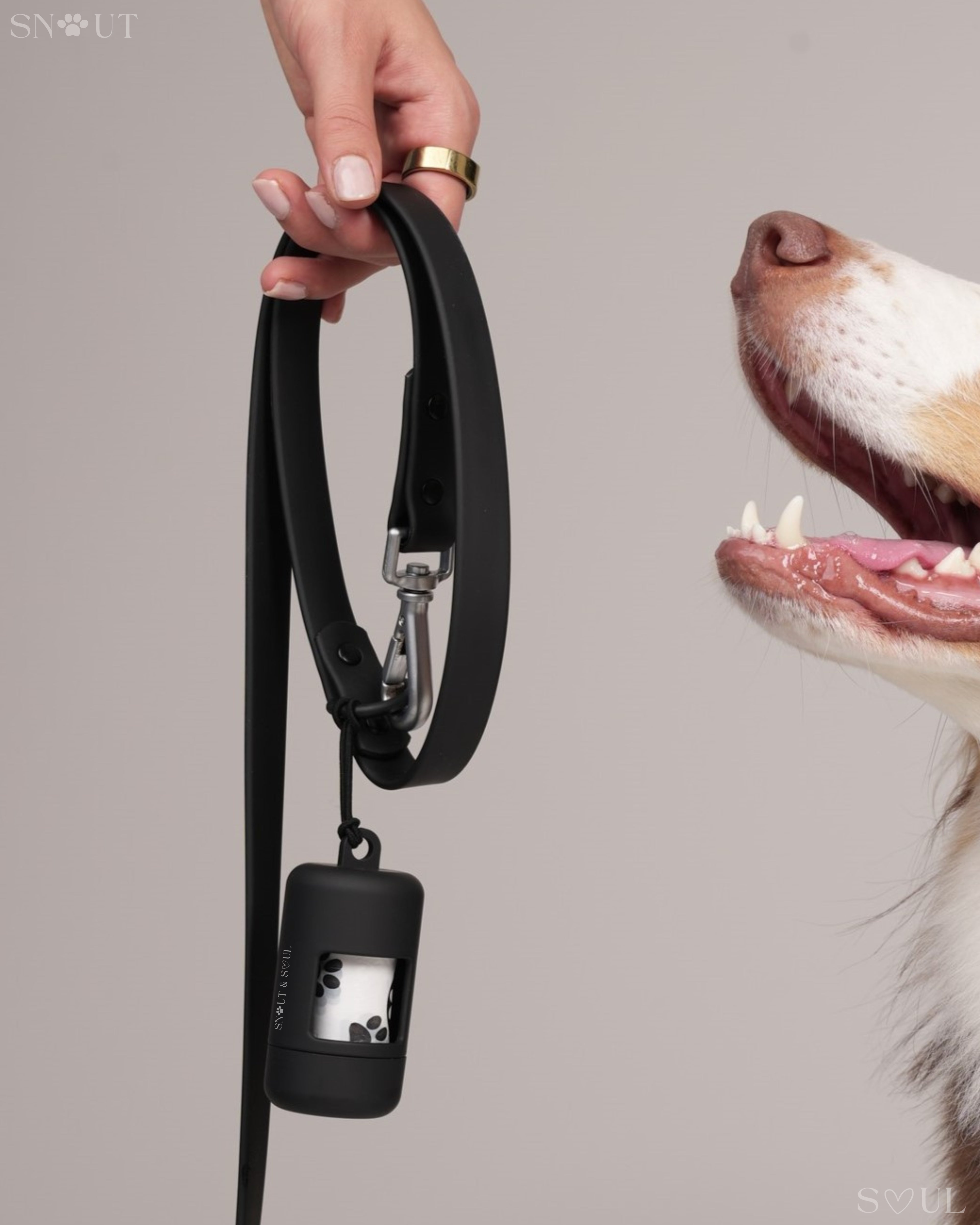 Poop Bag Holder