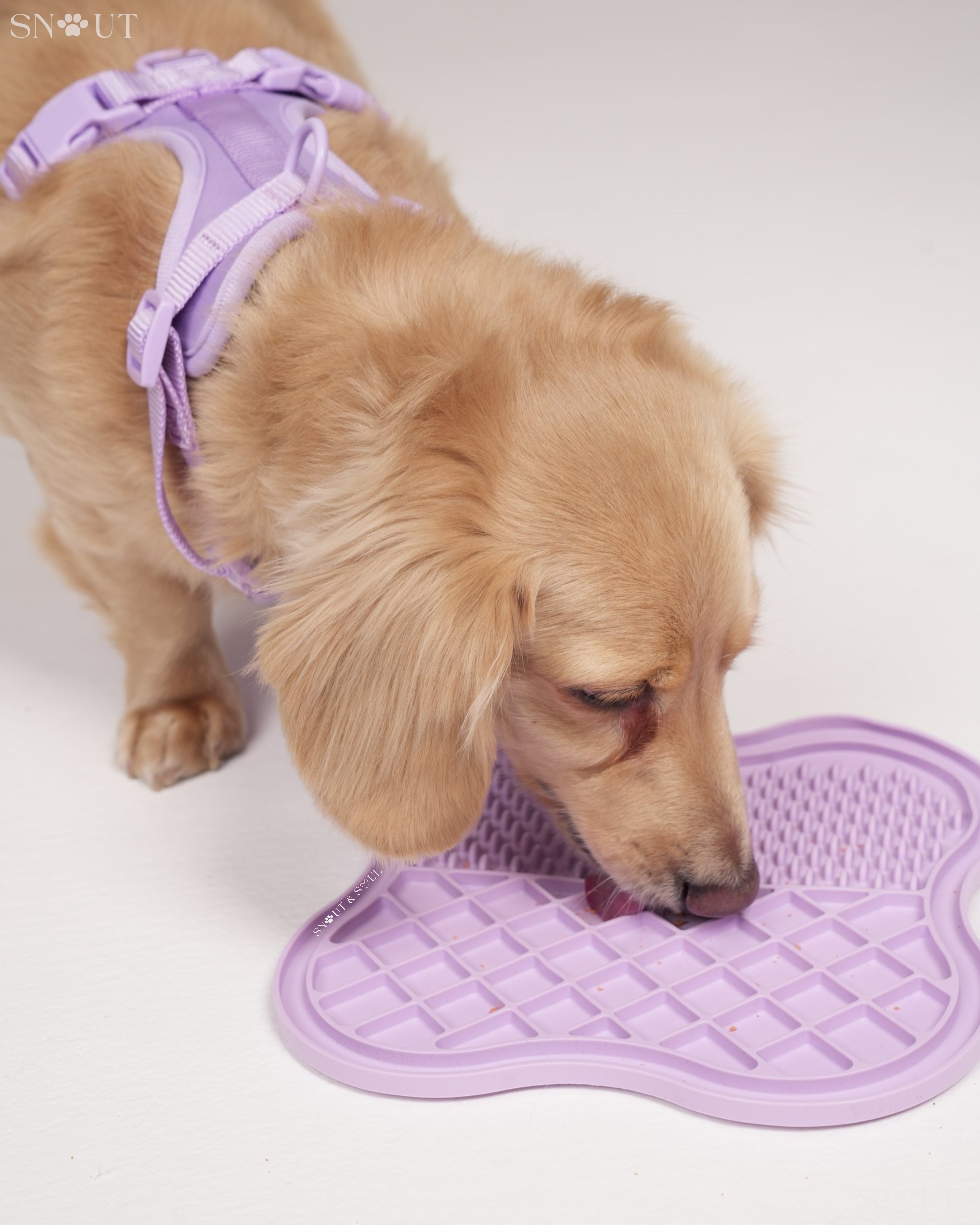 Lick Mat