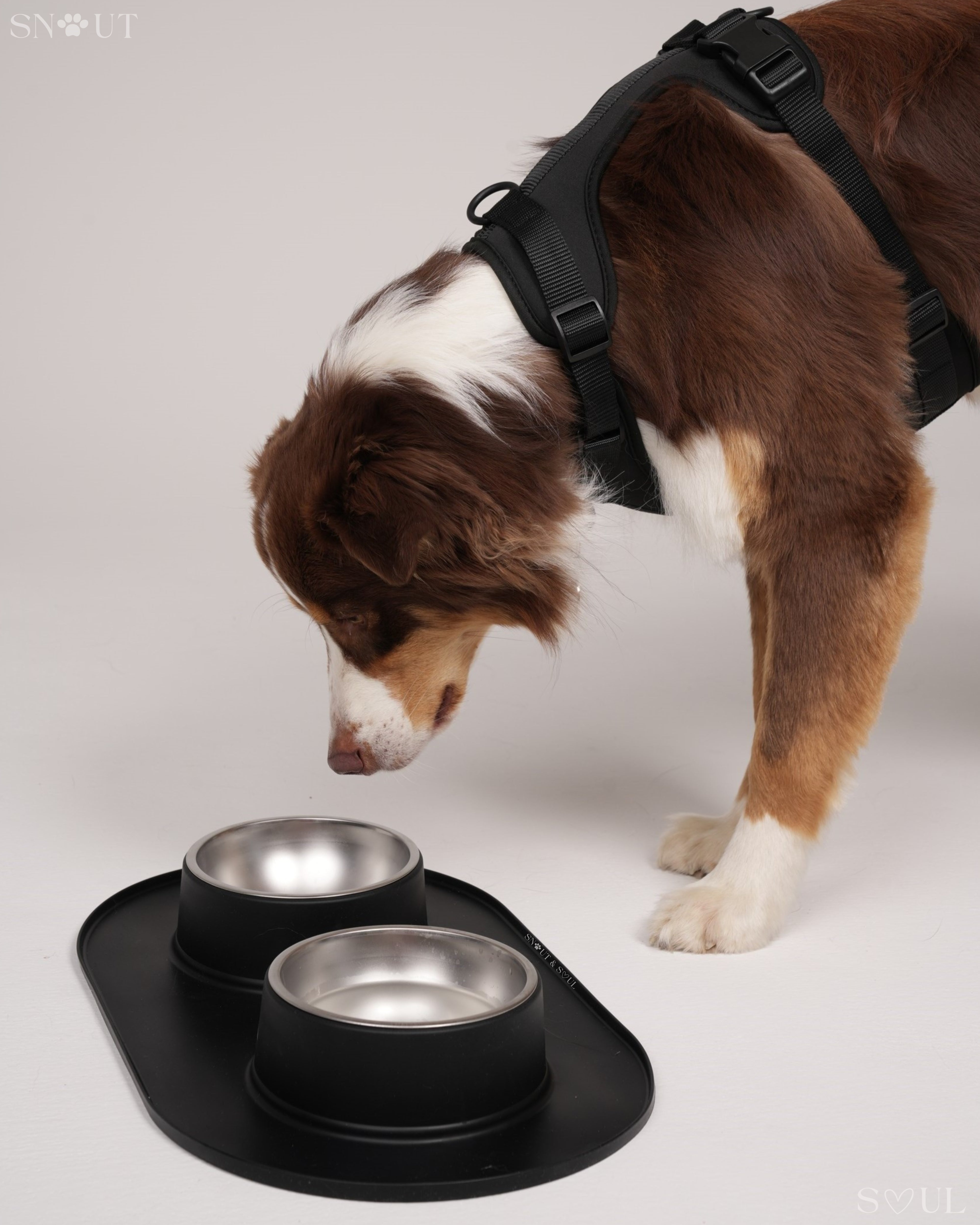 Non-Spill Duo Feeding Bowl