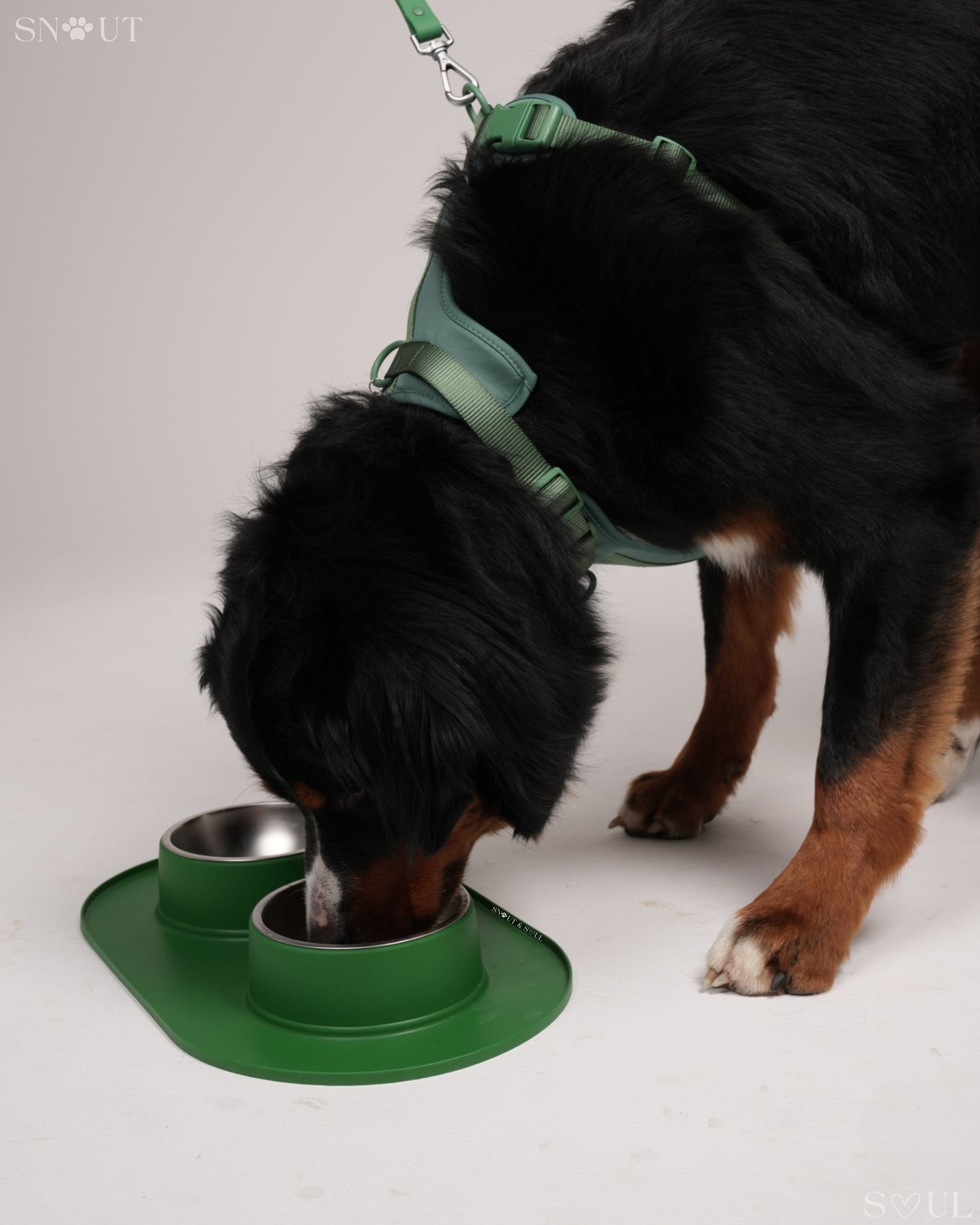 Non-Spill Duo Feeding Bowl