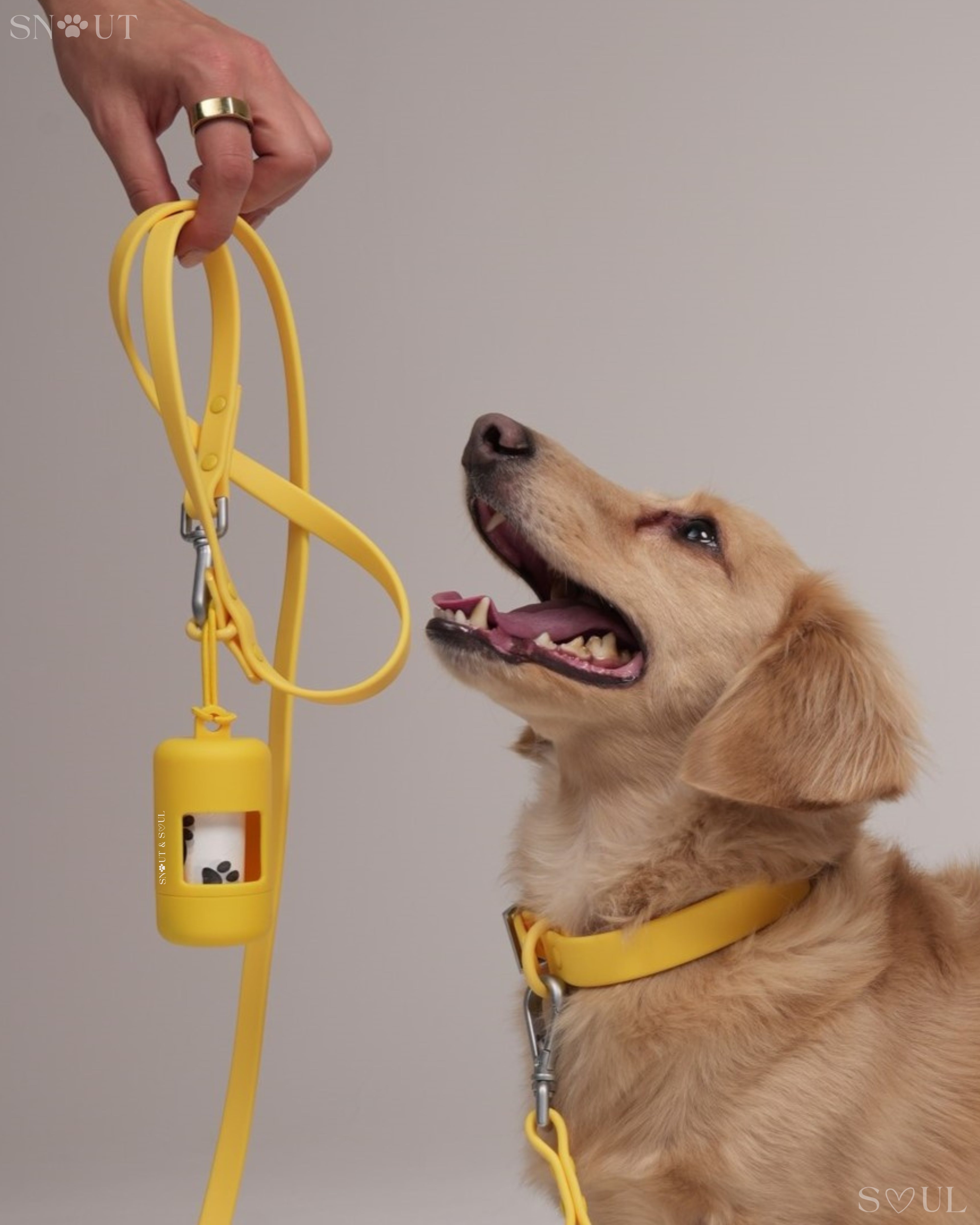 Poop Bag Holder
