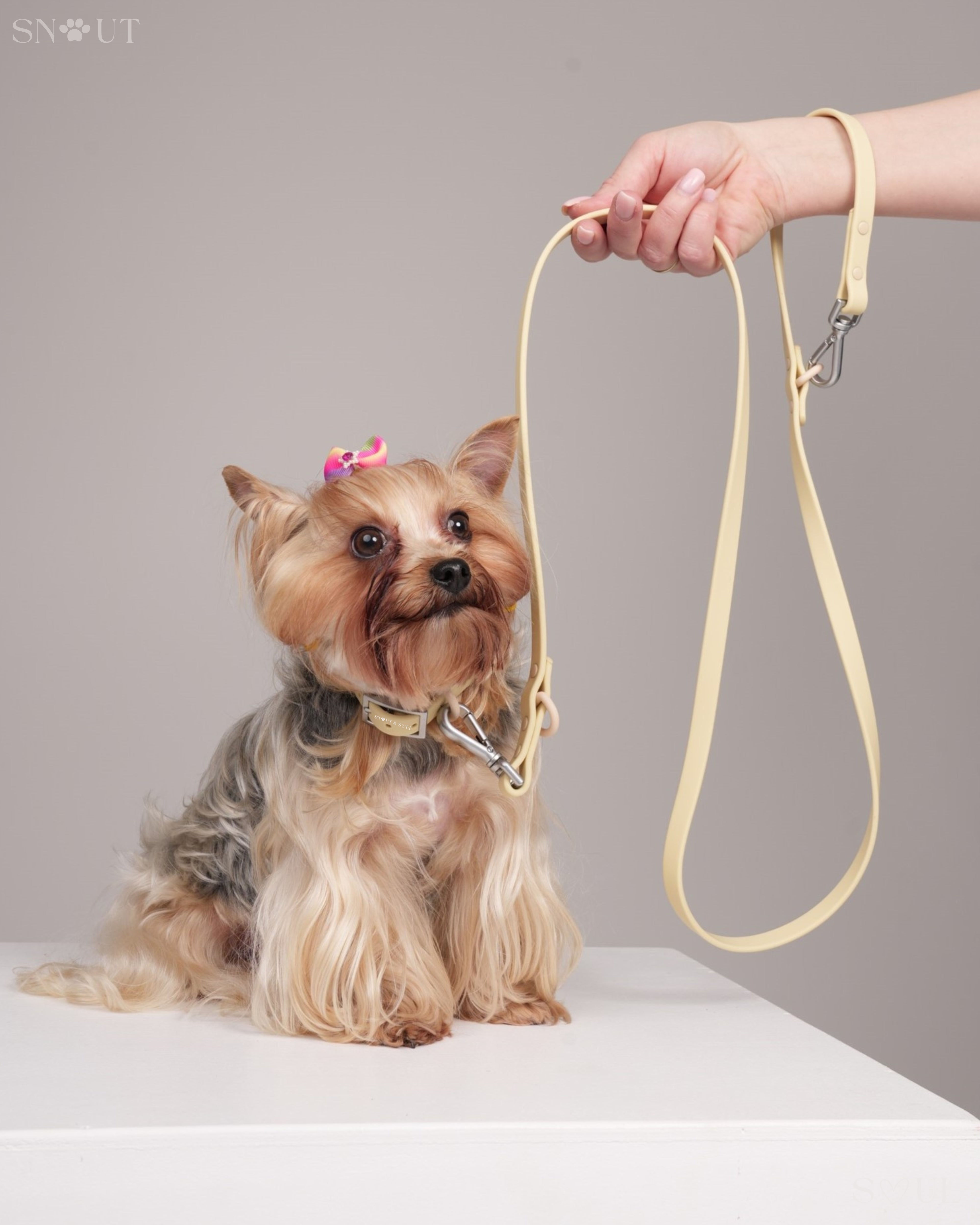 Collar Walk Set