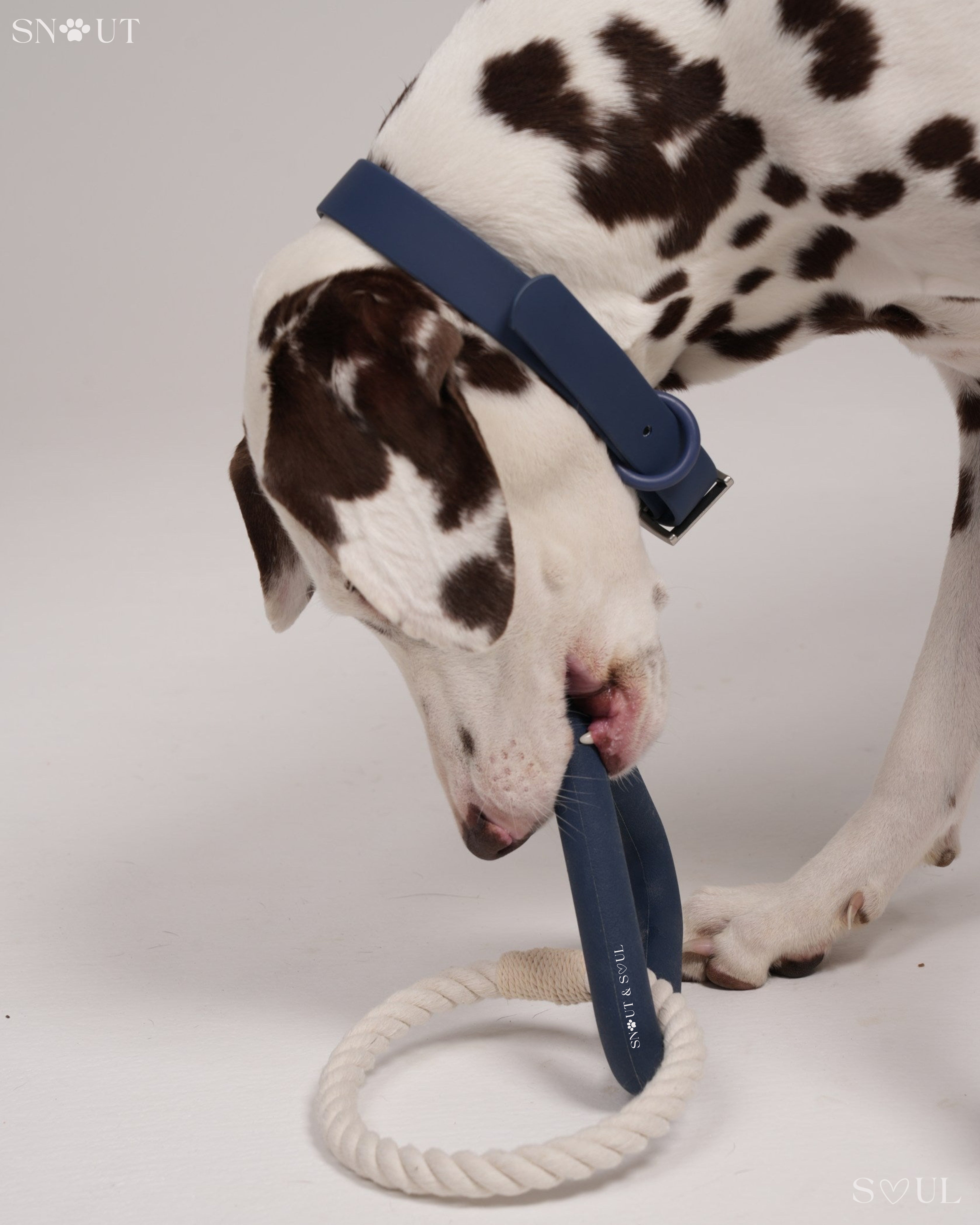Triangle Tug Toy