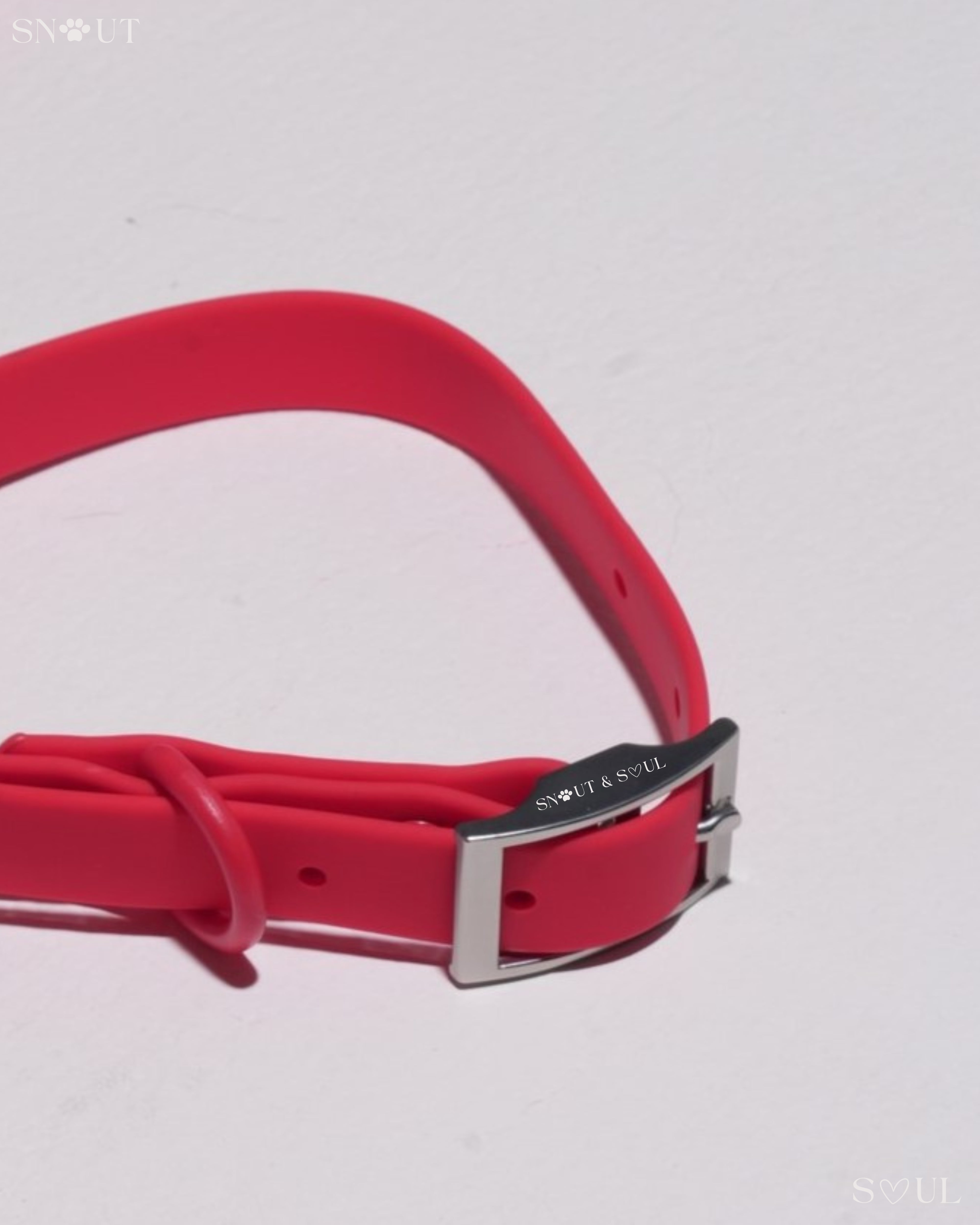 Collar Walk Set