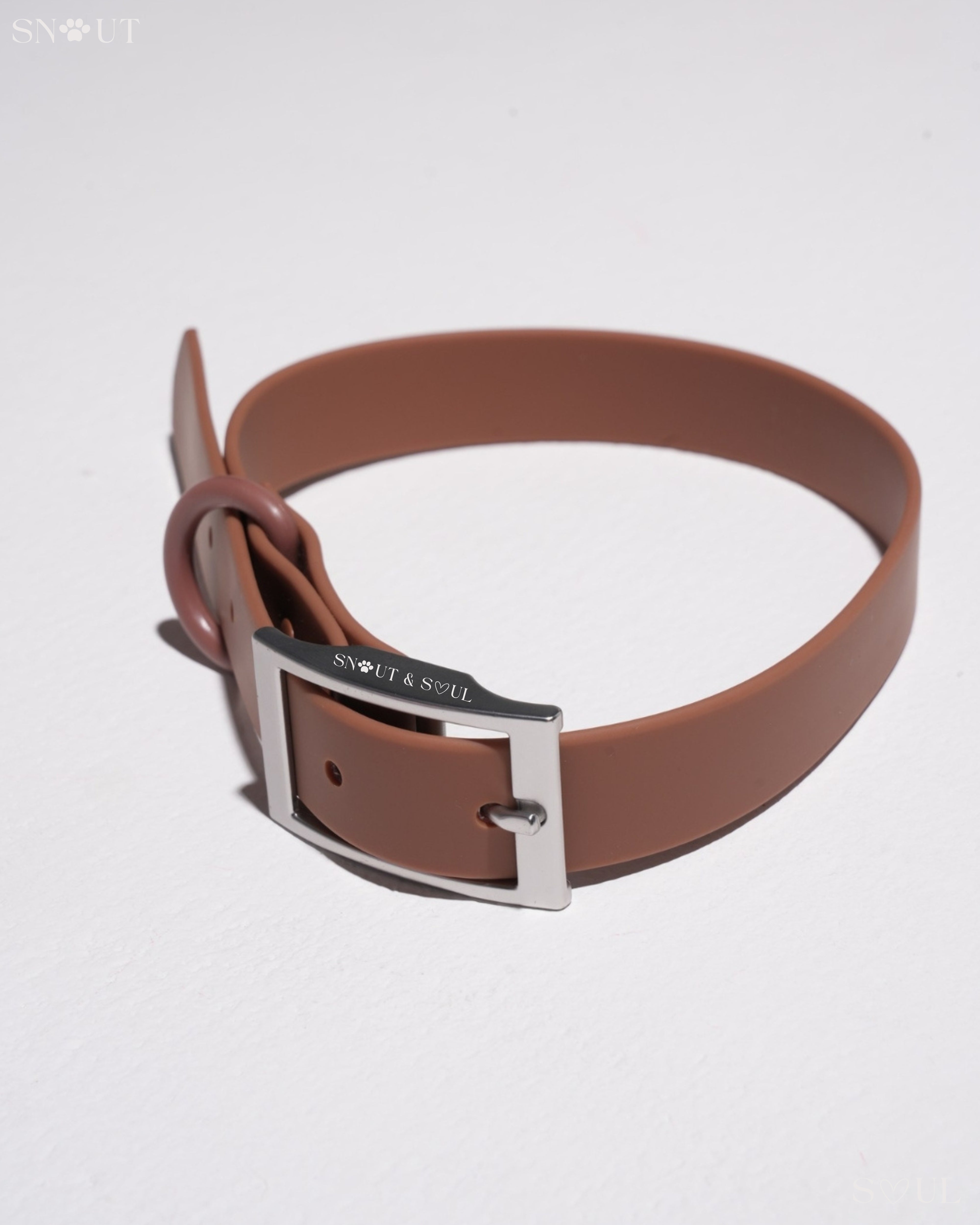 Collar Walk Set