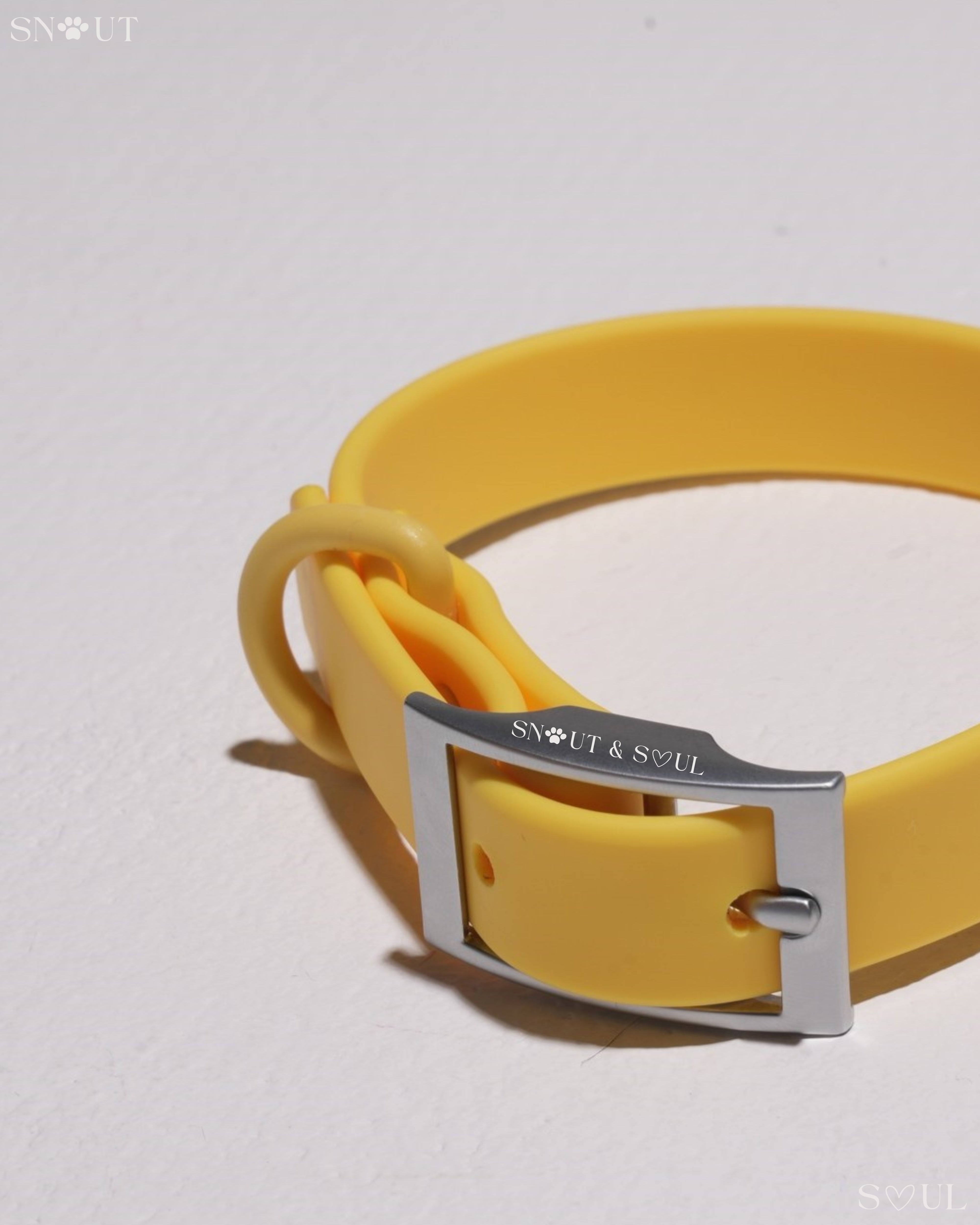 Collar Walk Set