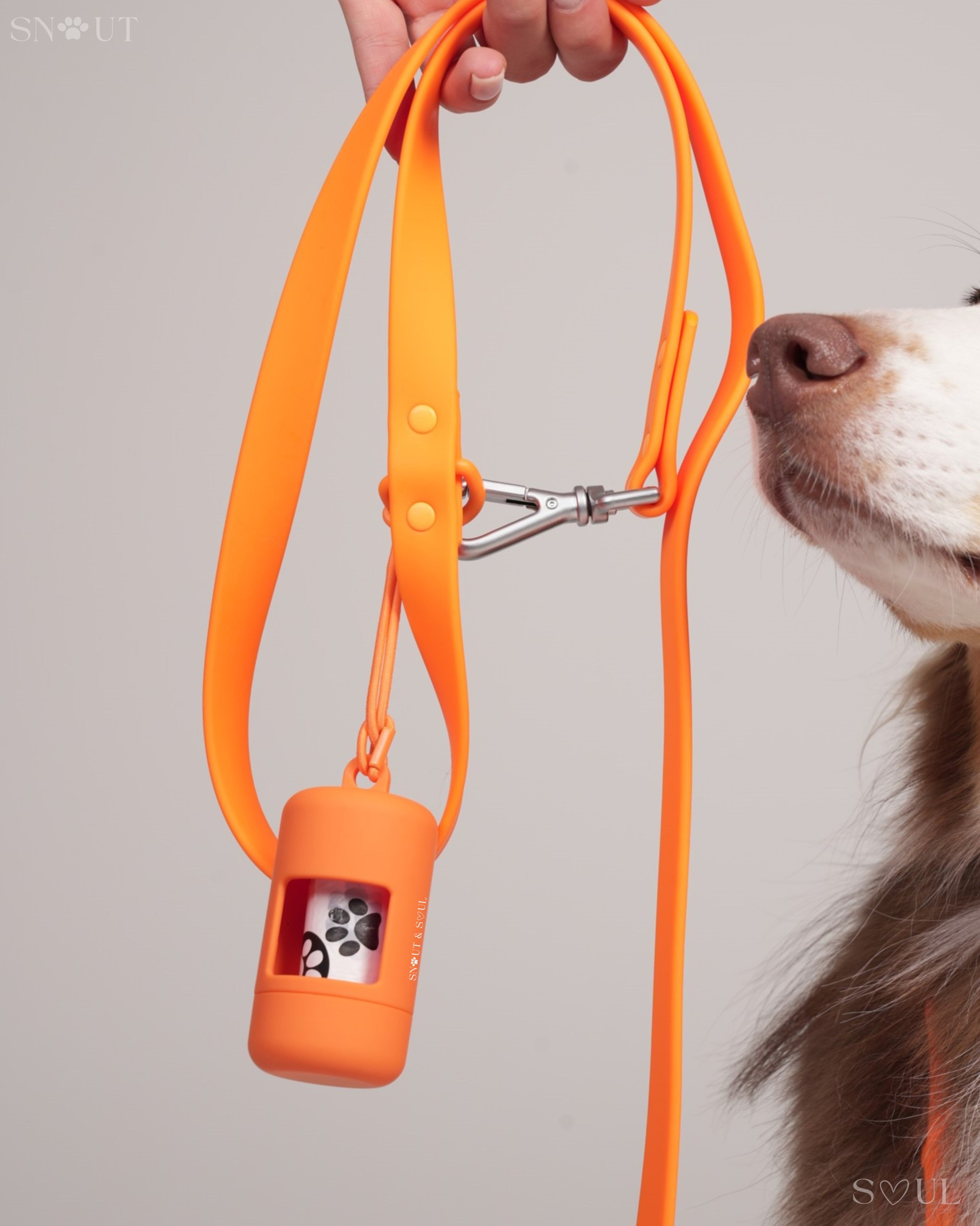 Poop Bag Holder