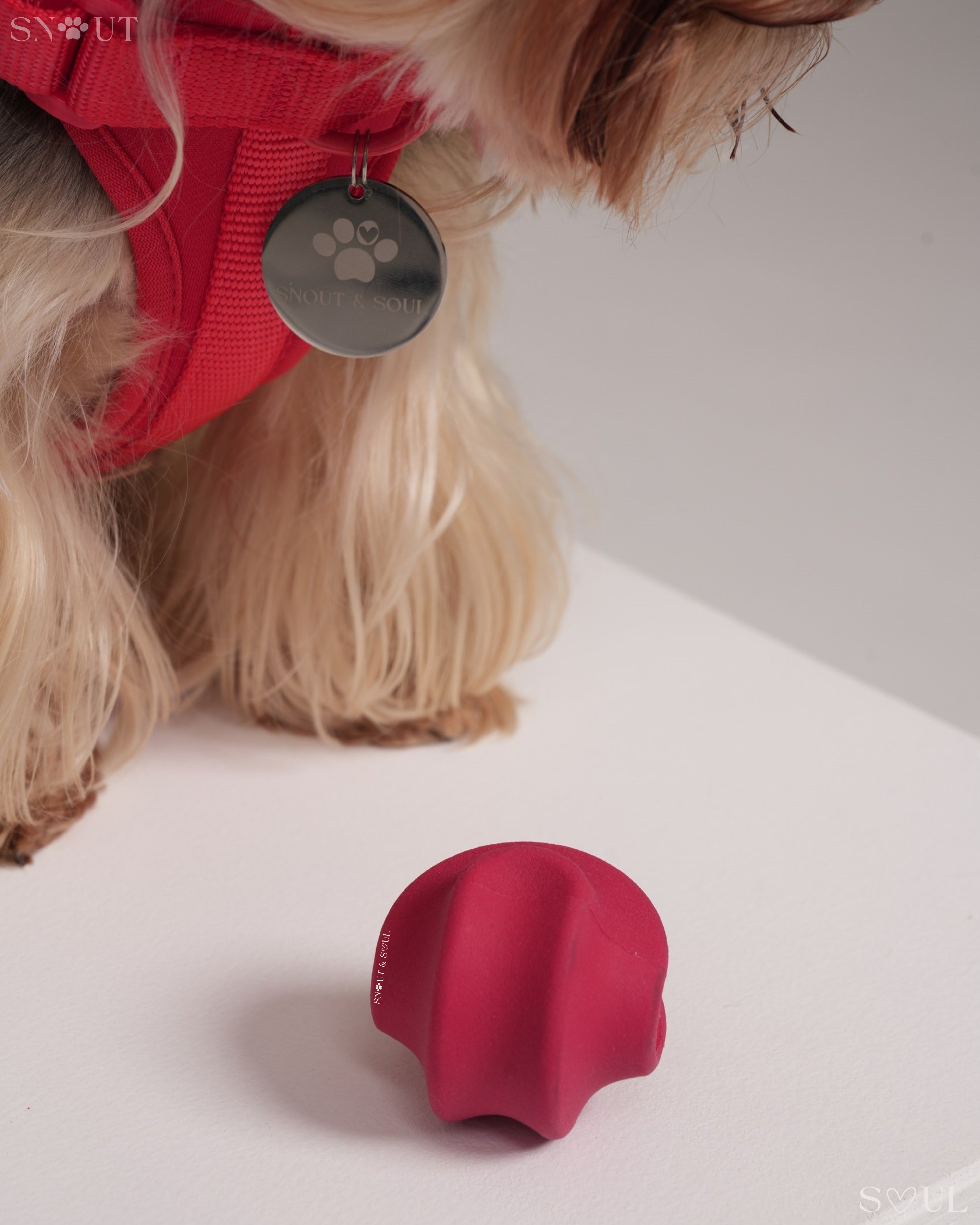 Twisty Ball Toy