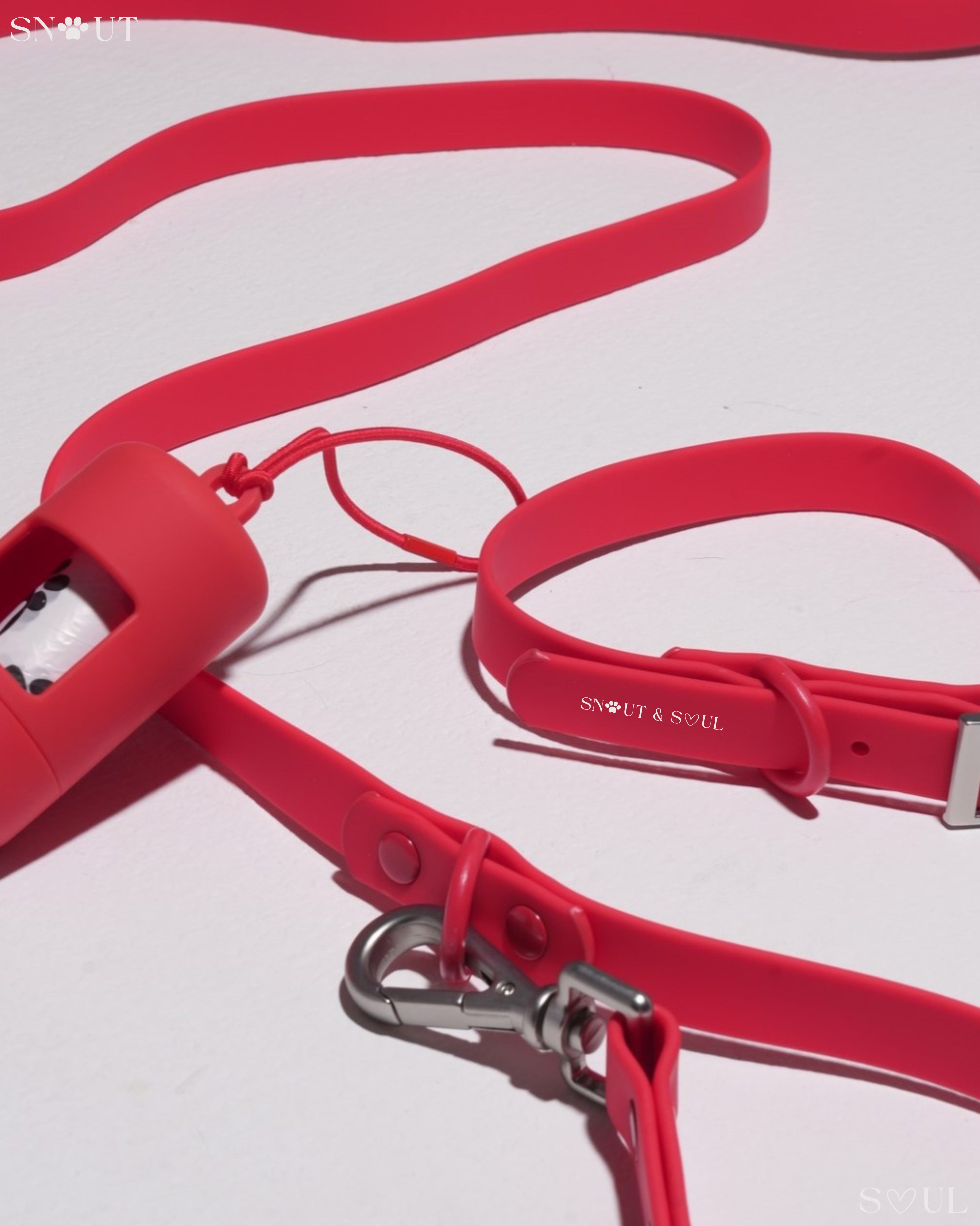 Collar Walk Set