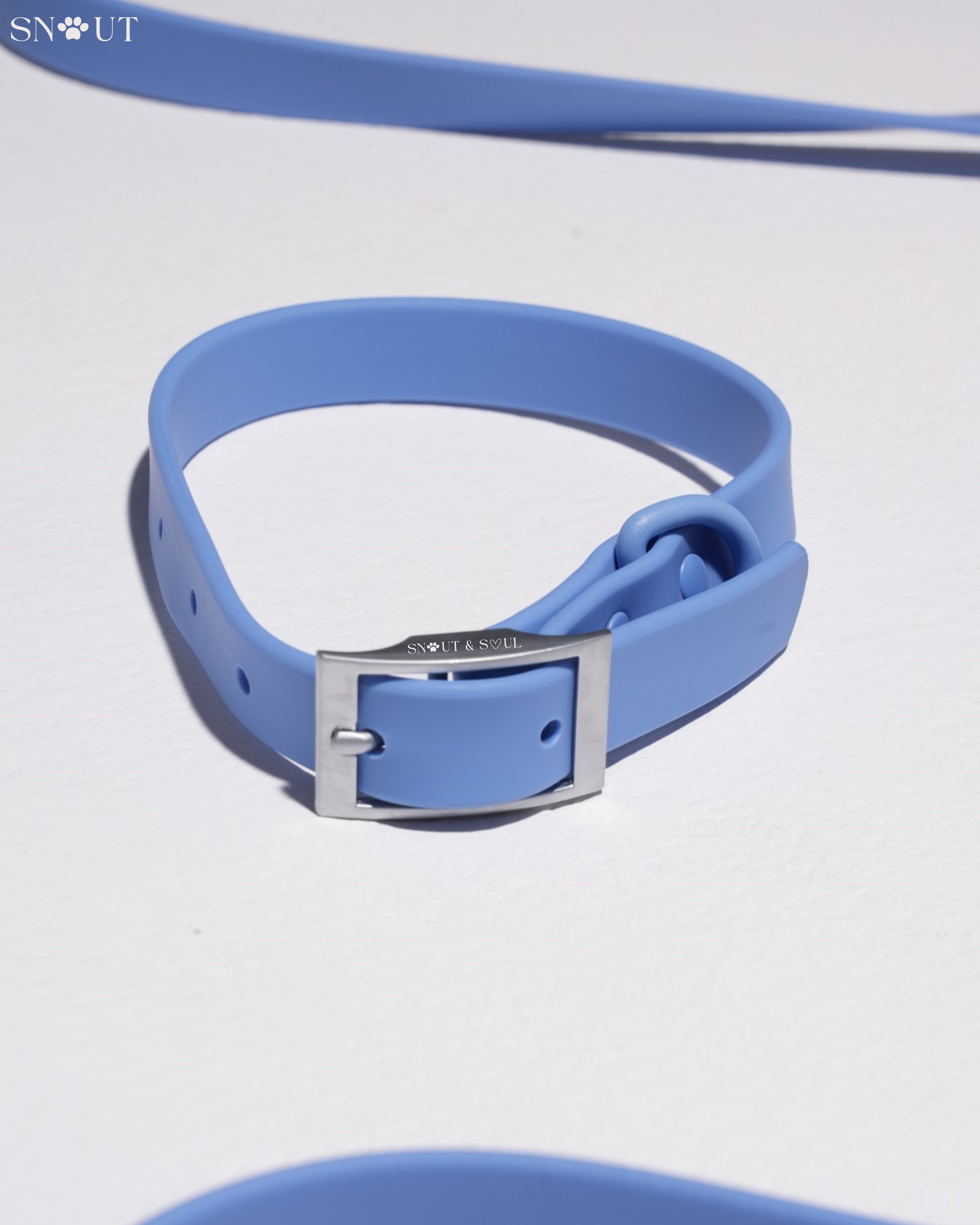Collar Walk Set