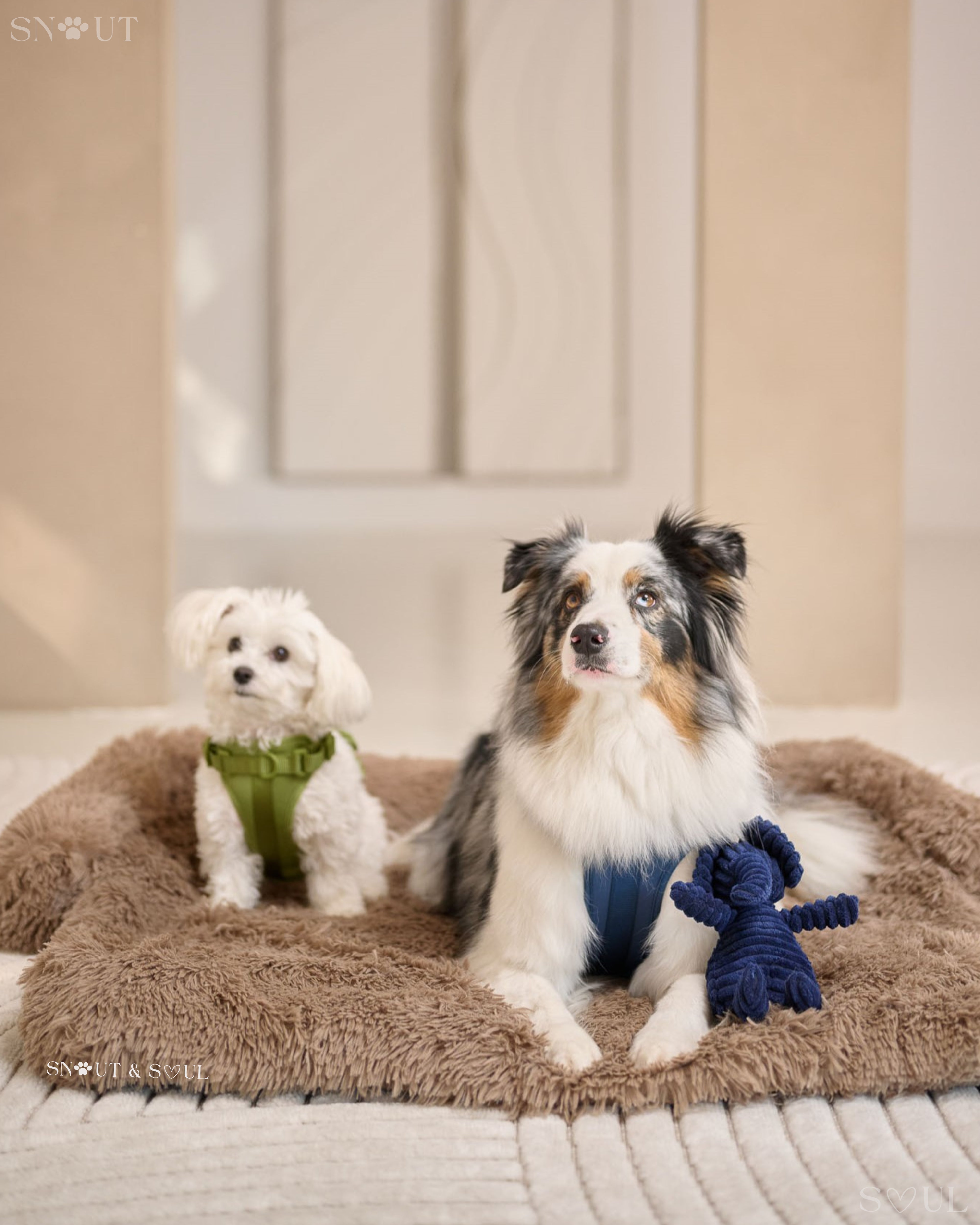 Soft Luxury Sofa Blanket