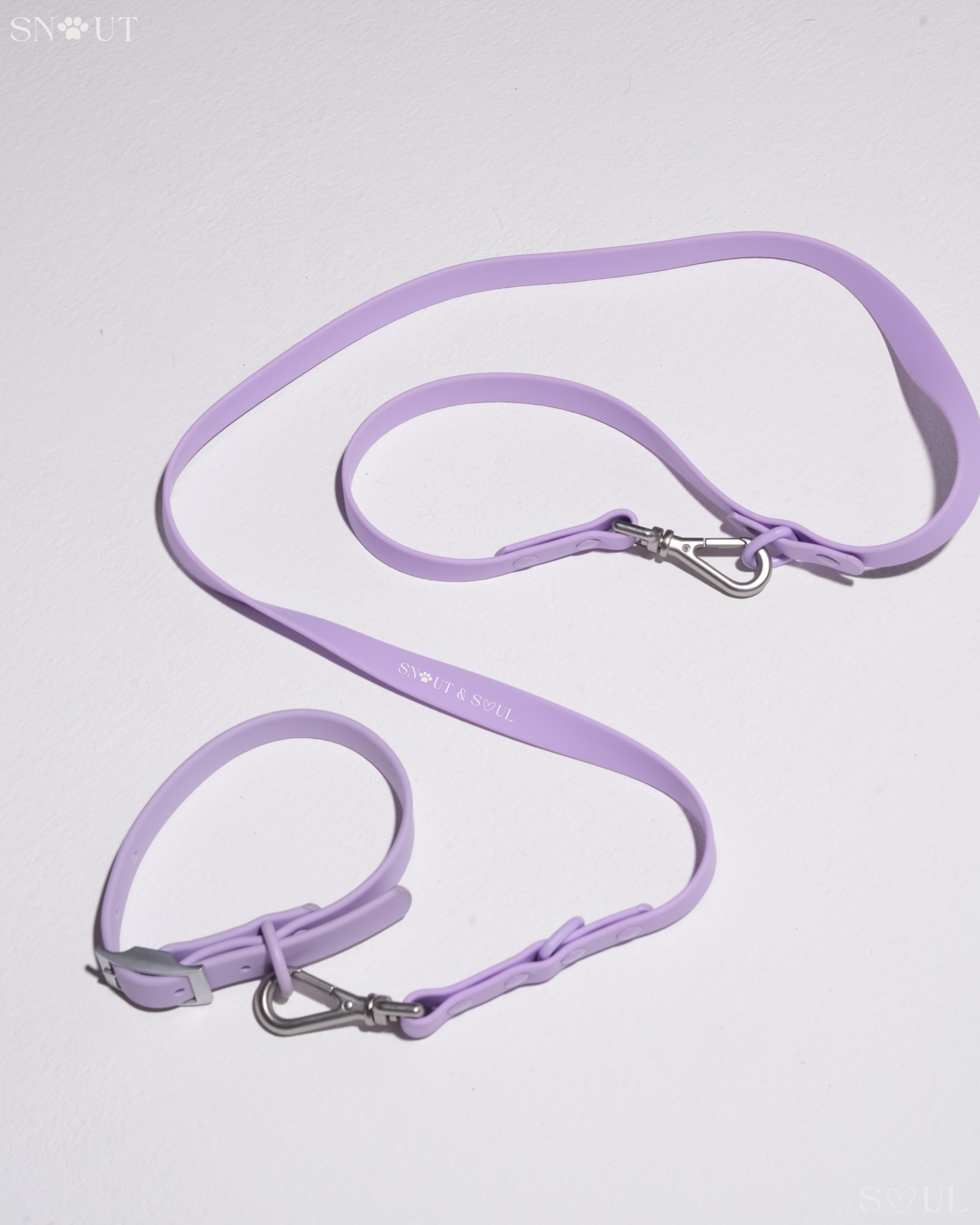 Collar Walk Set