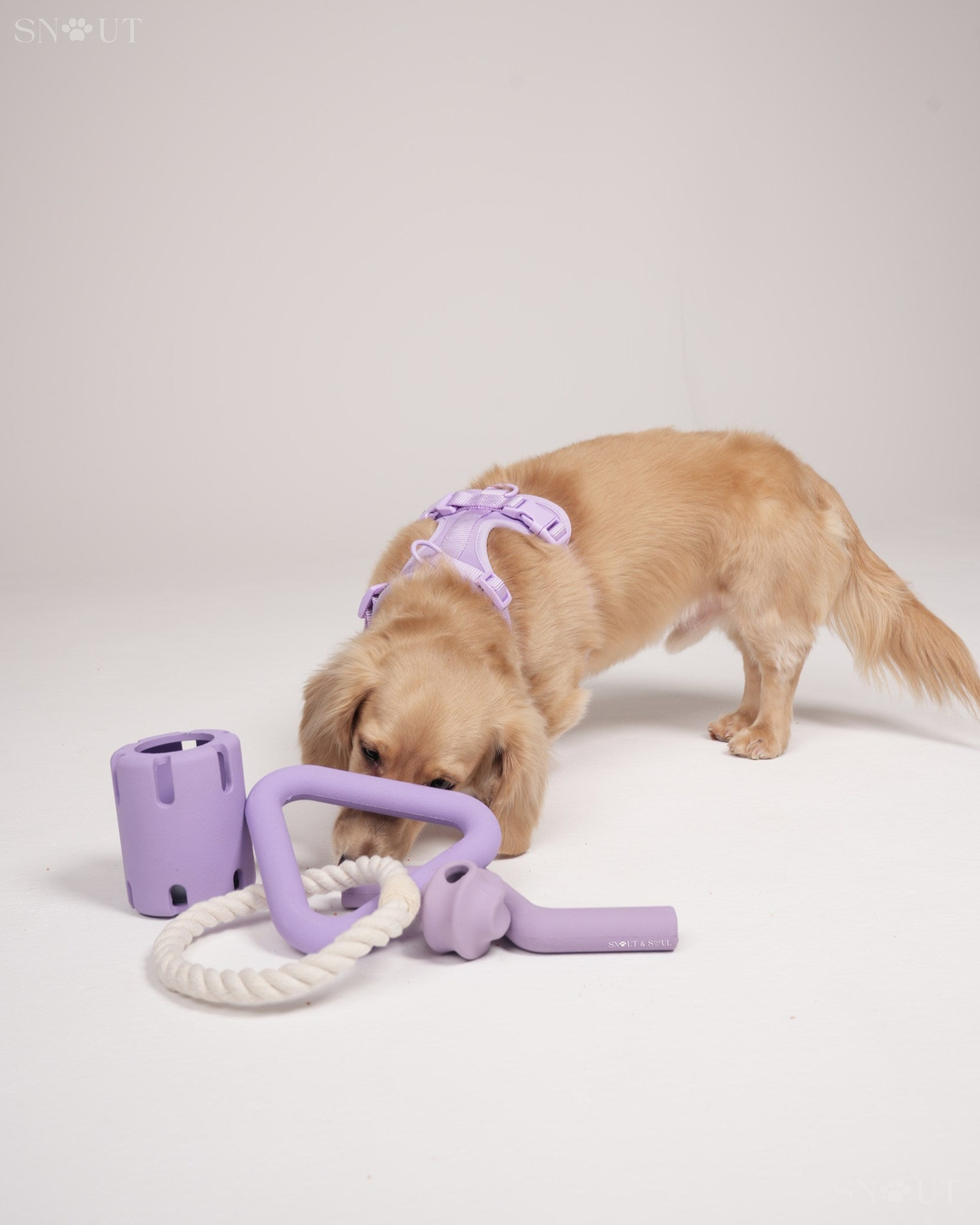 Play Set