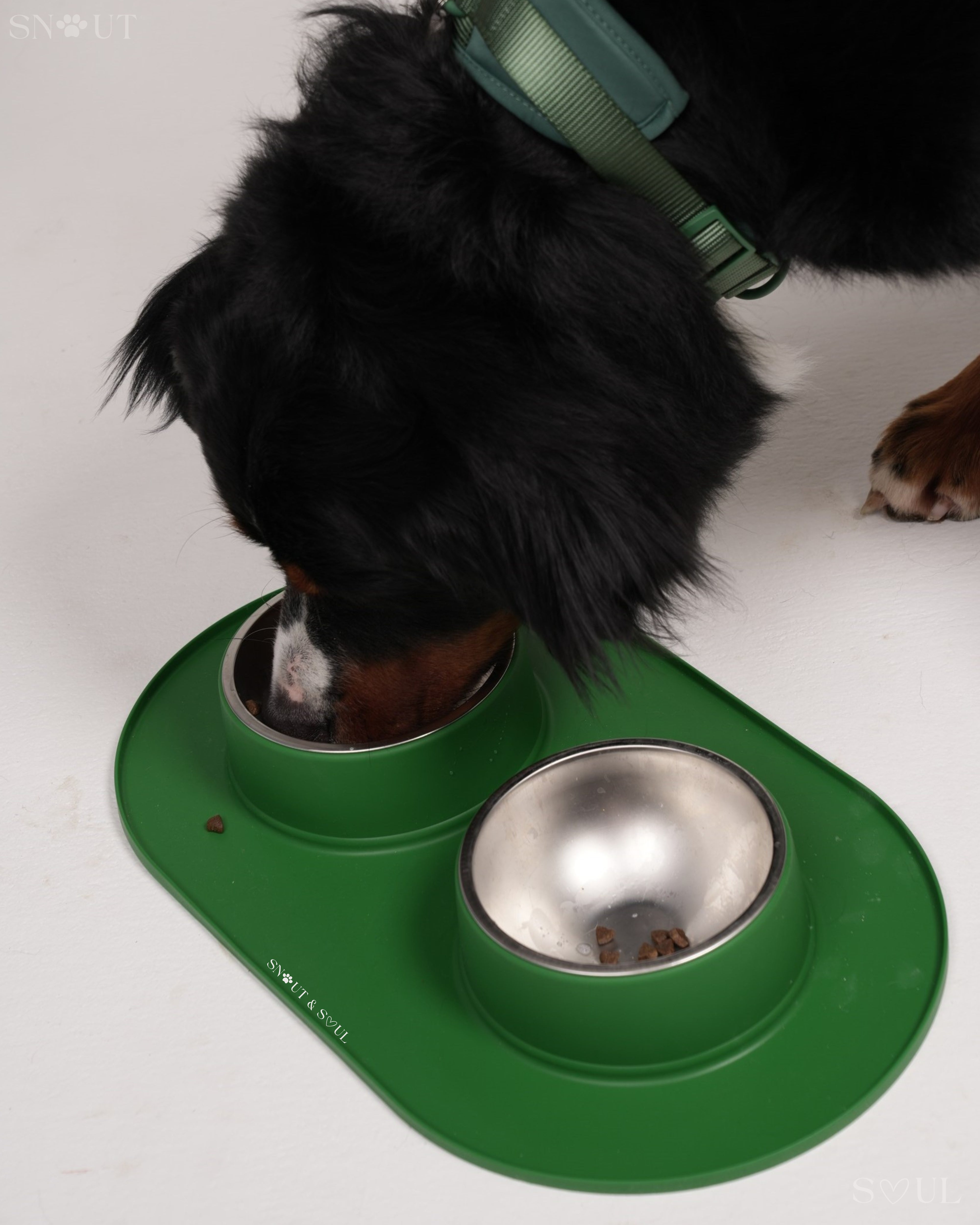 Non-Spill Duo Feeding Bowl