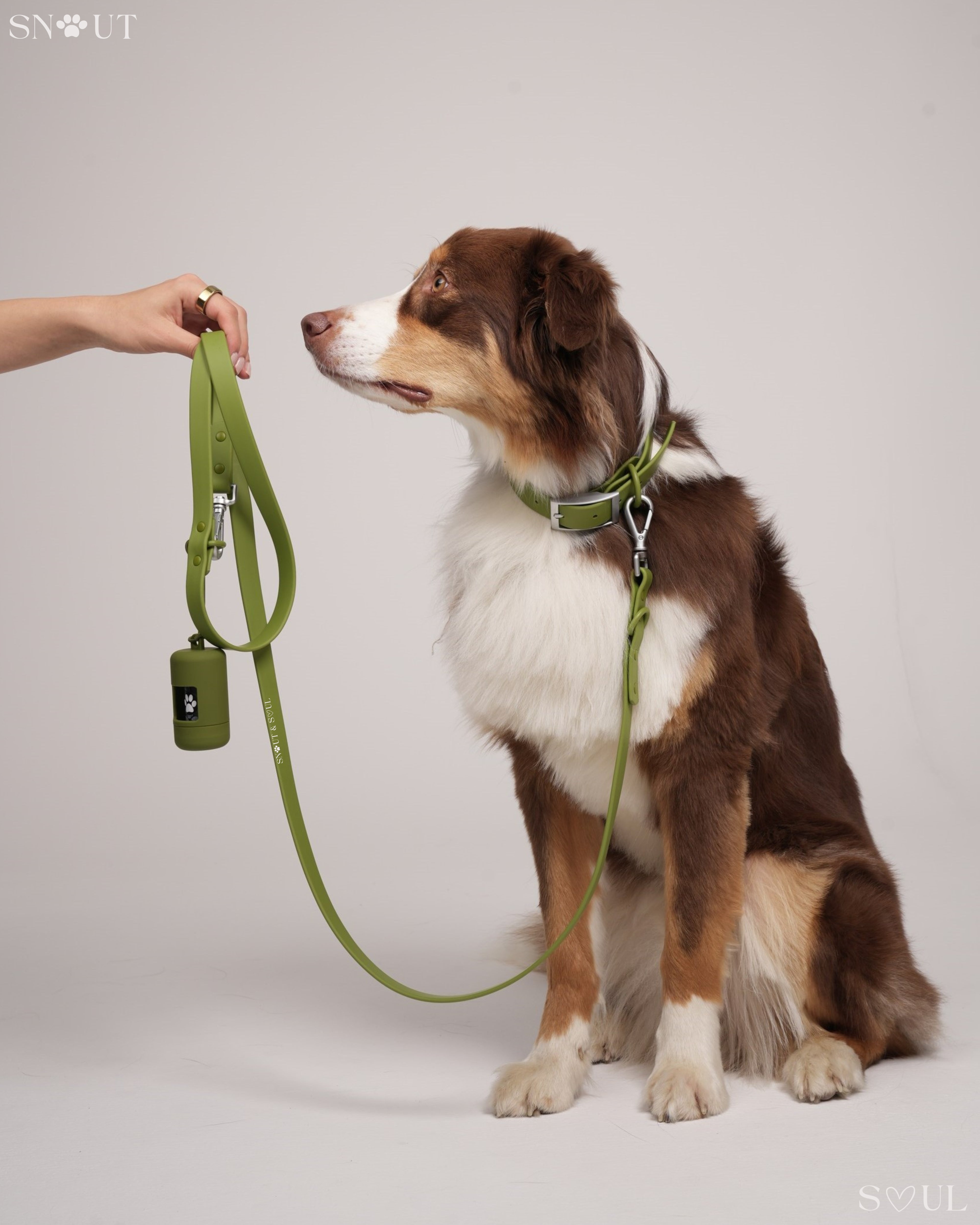 Collar Walk Set