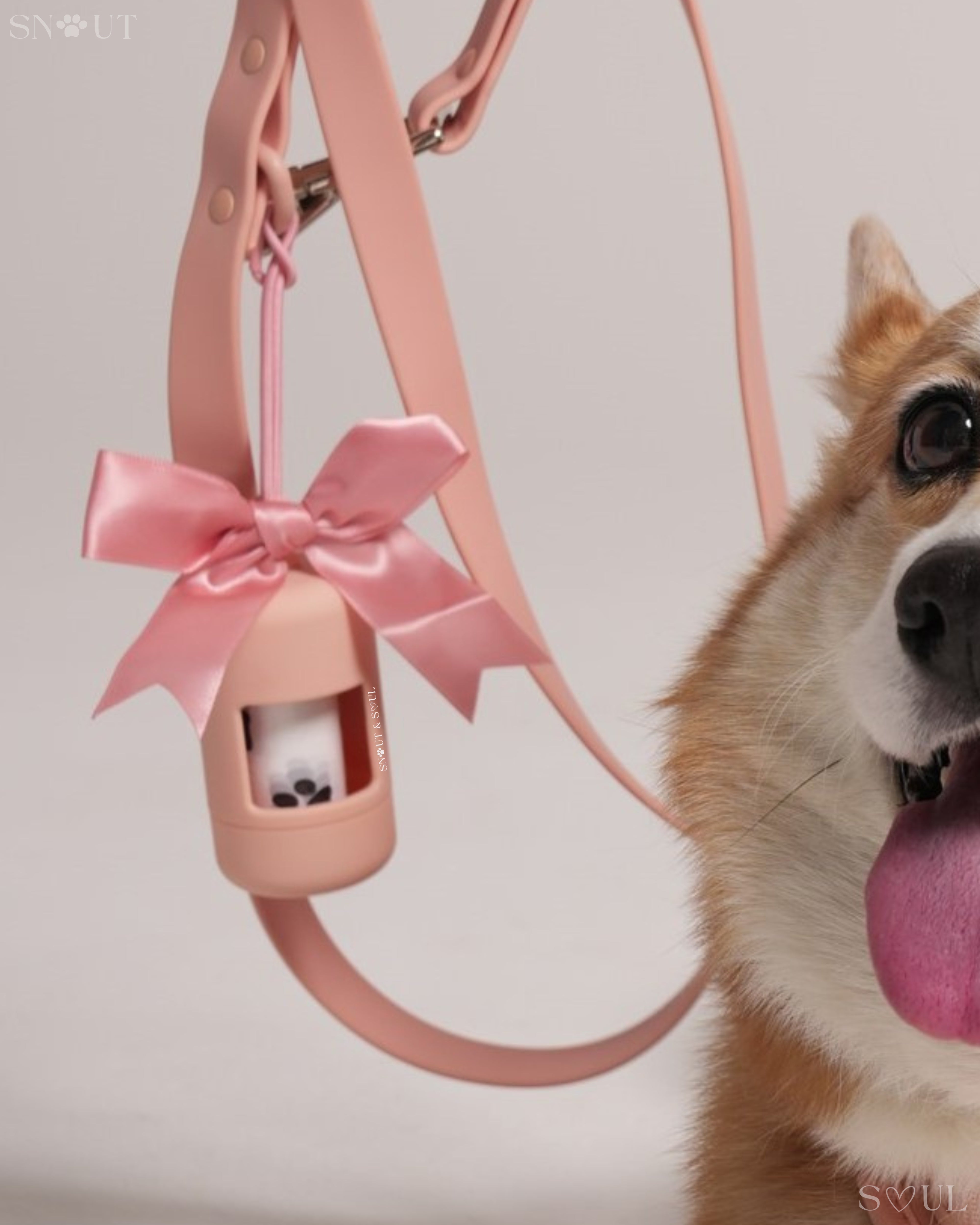 Poop Bag Holder