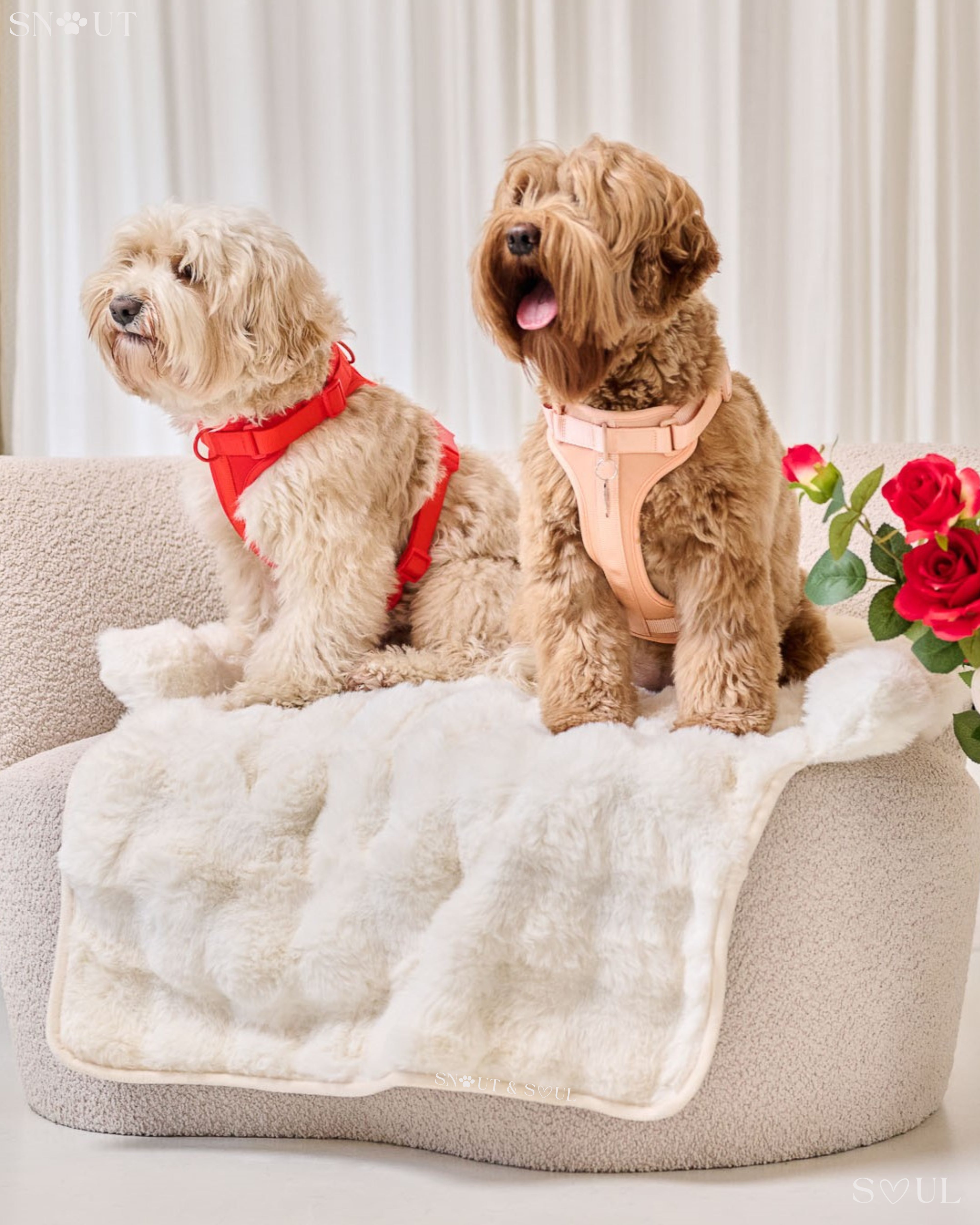 Soft Luxury Sofa Blanket