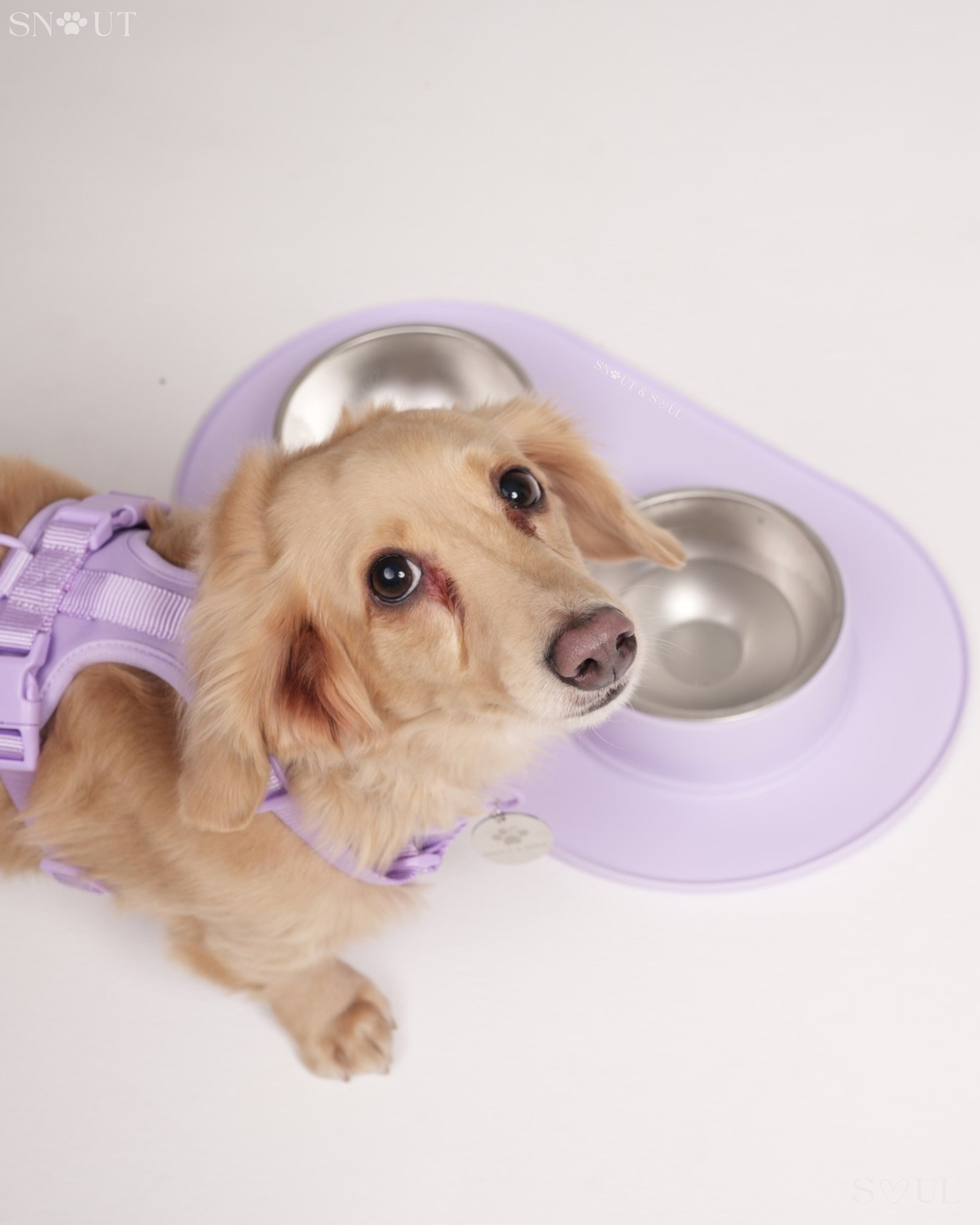 Non-Spill Duo Feeding Bowl