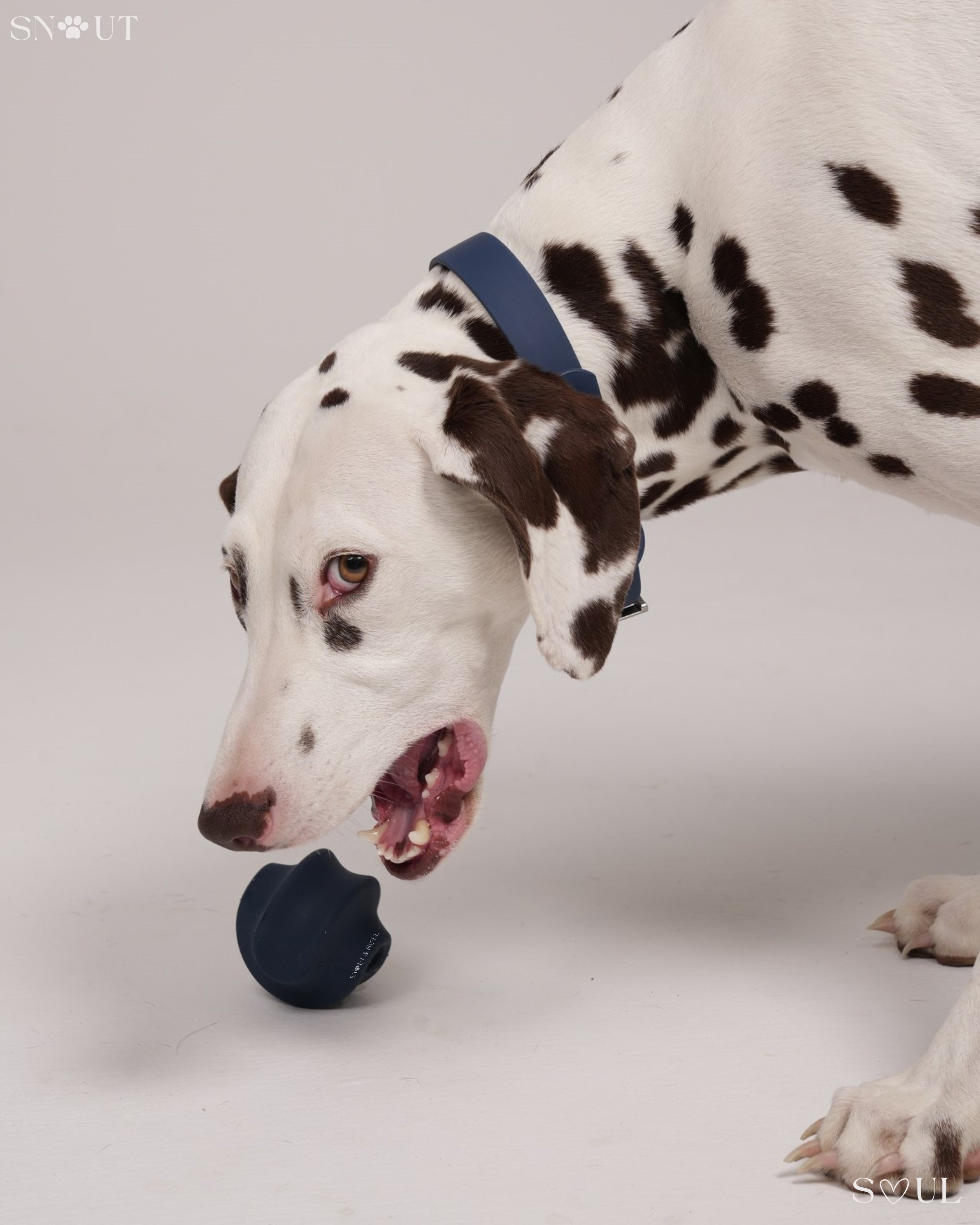 Twisty Ball Toy