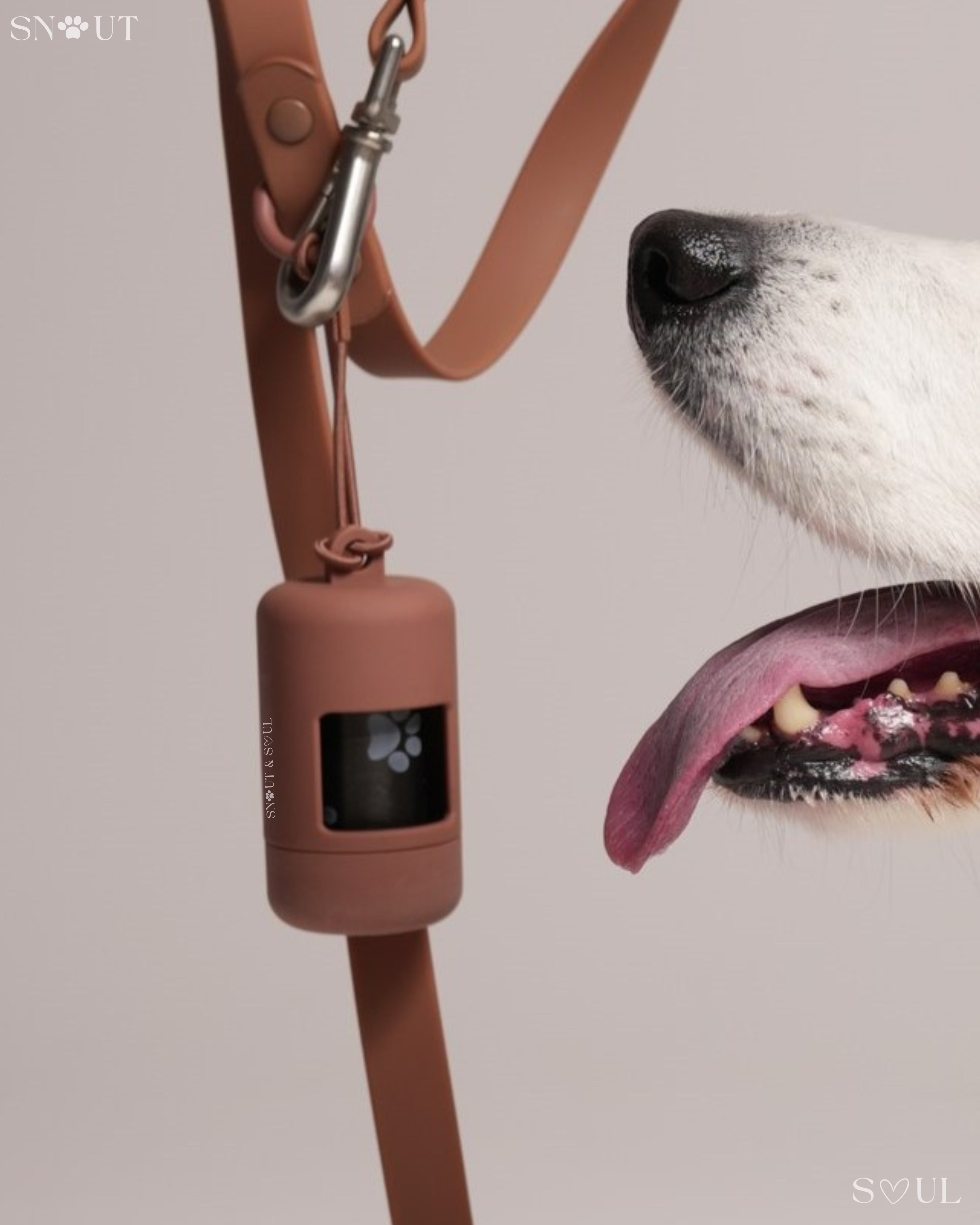 Poop Bag Holder
