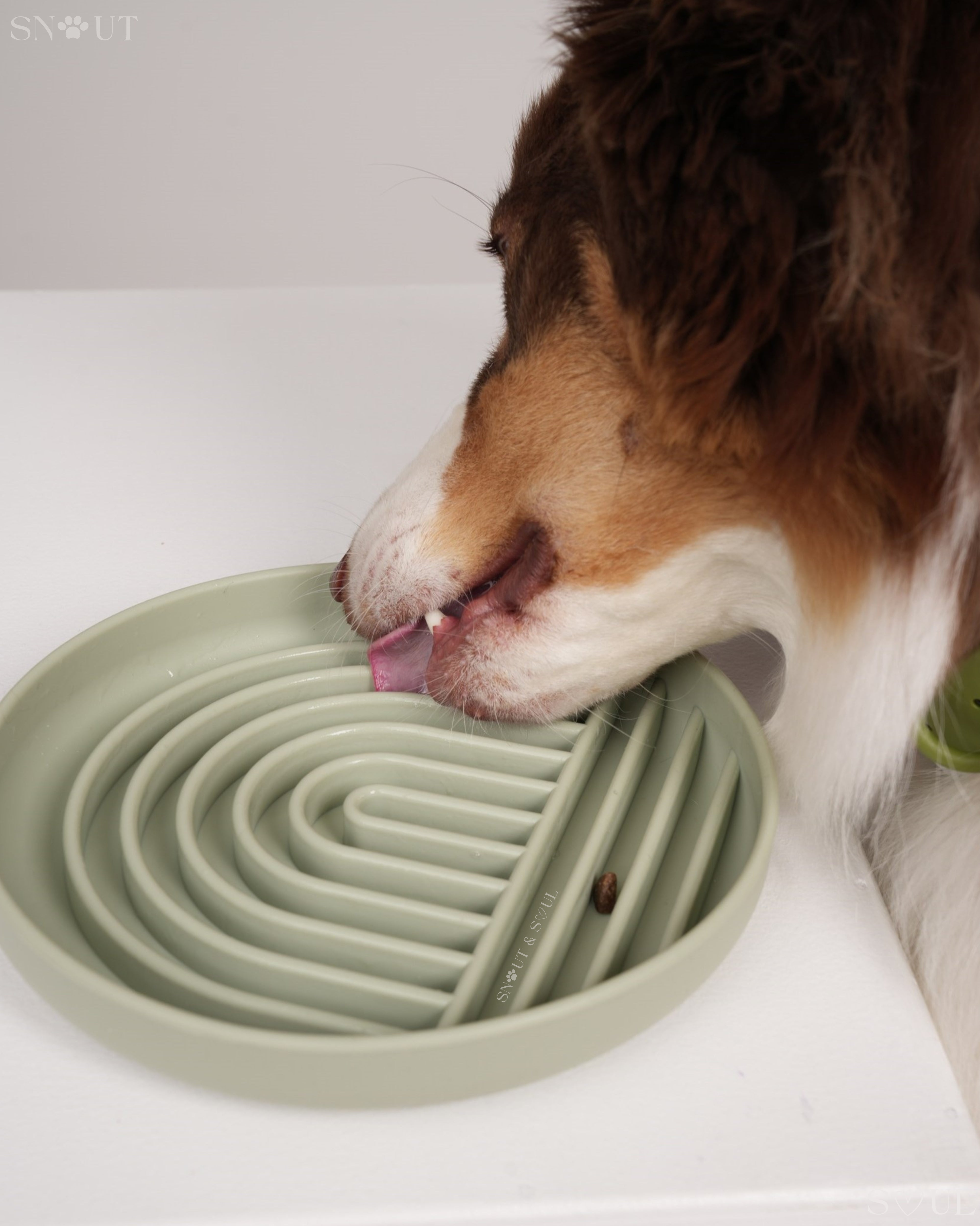 Slow Feeder