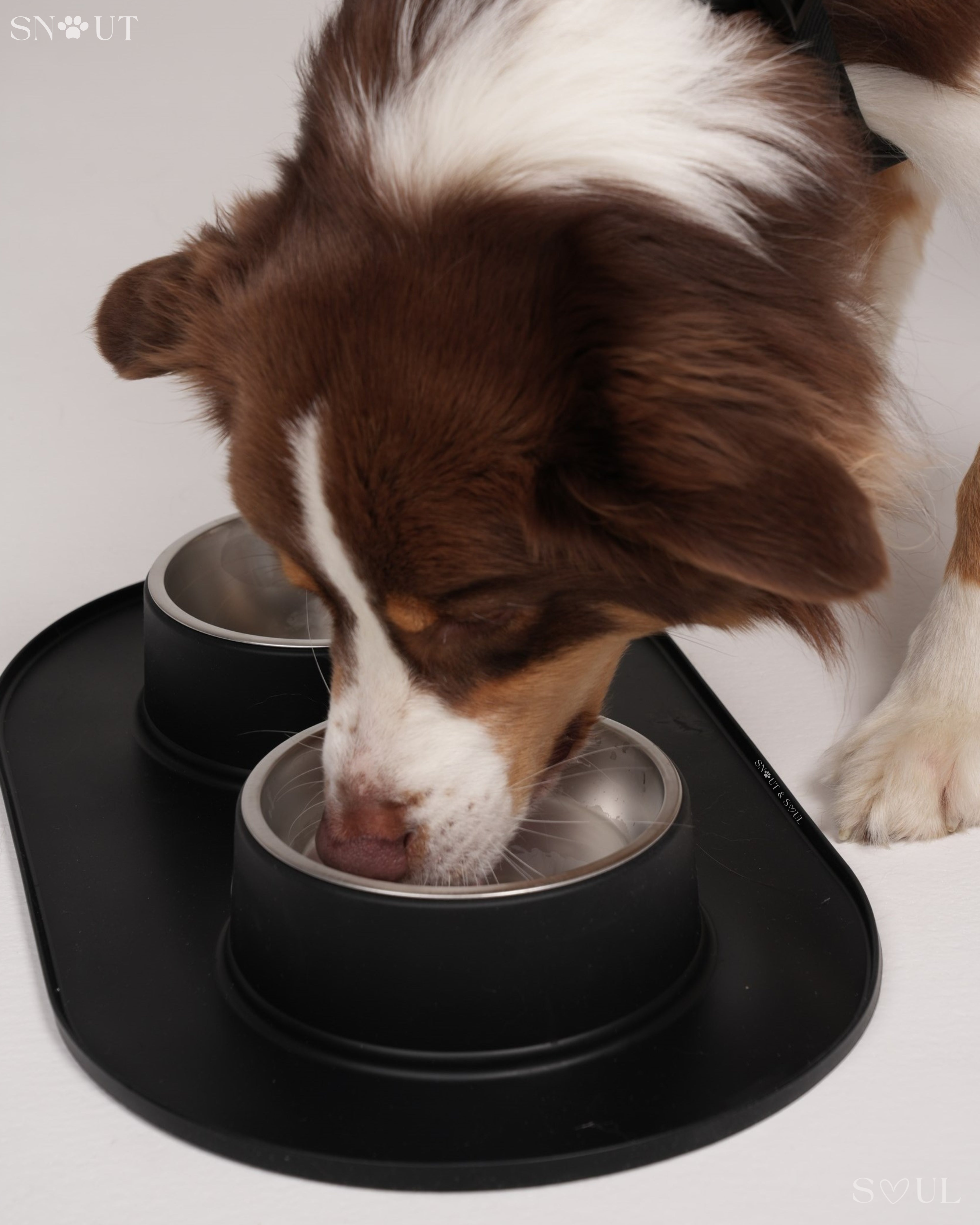 Non-Spill Duo Feeding Bowl