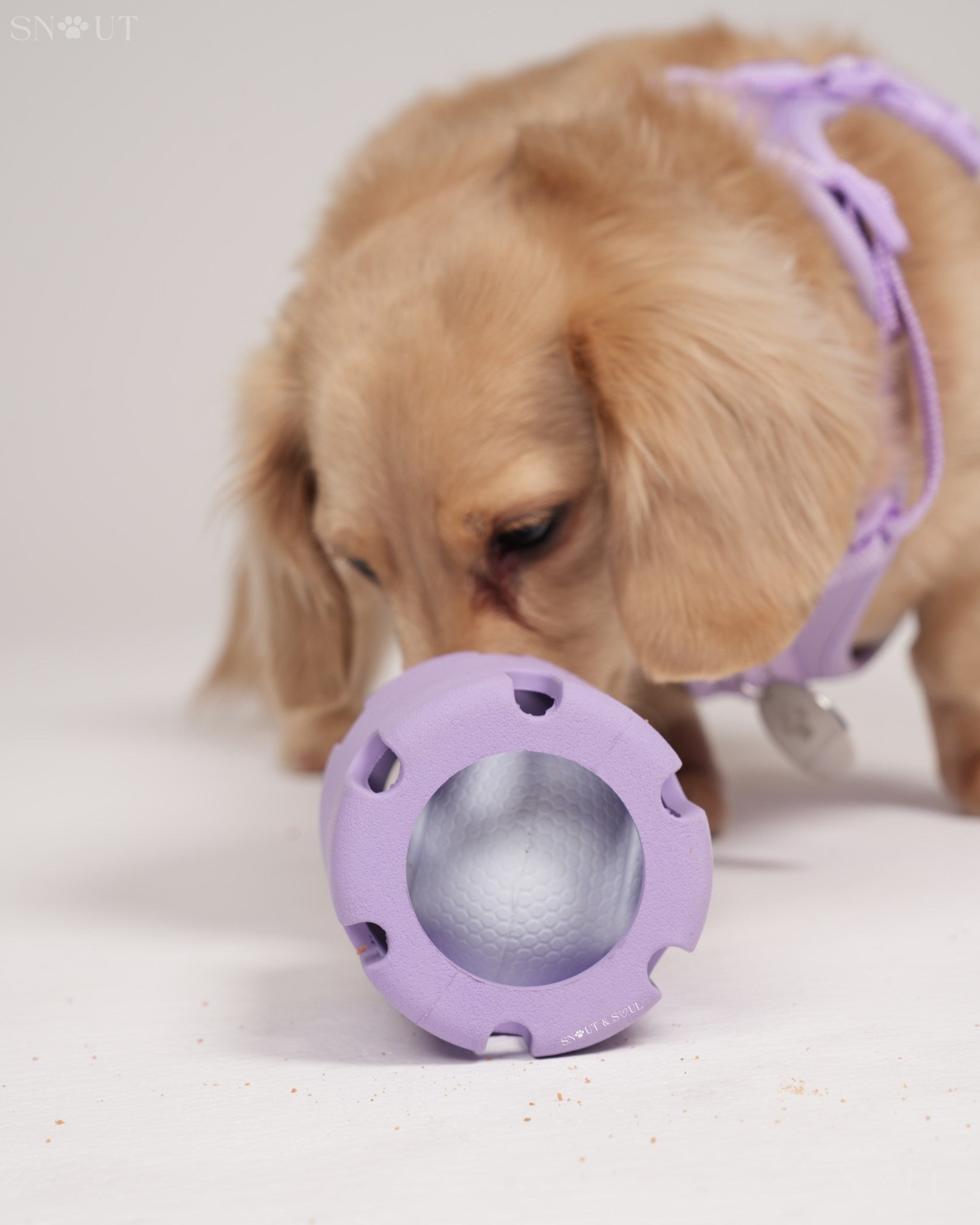 Tennis Wobble Toy