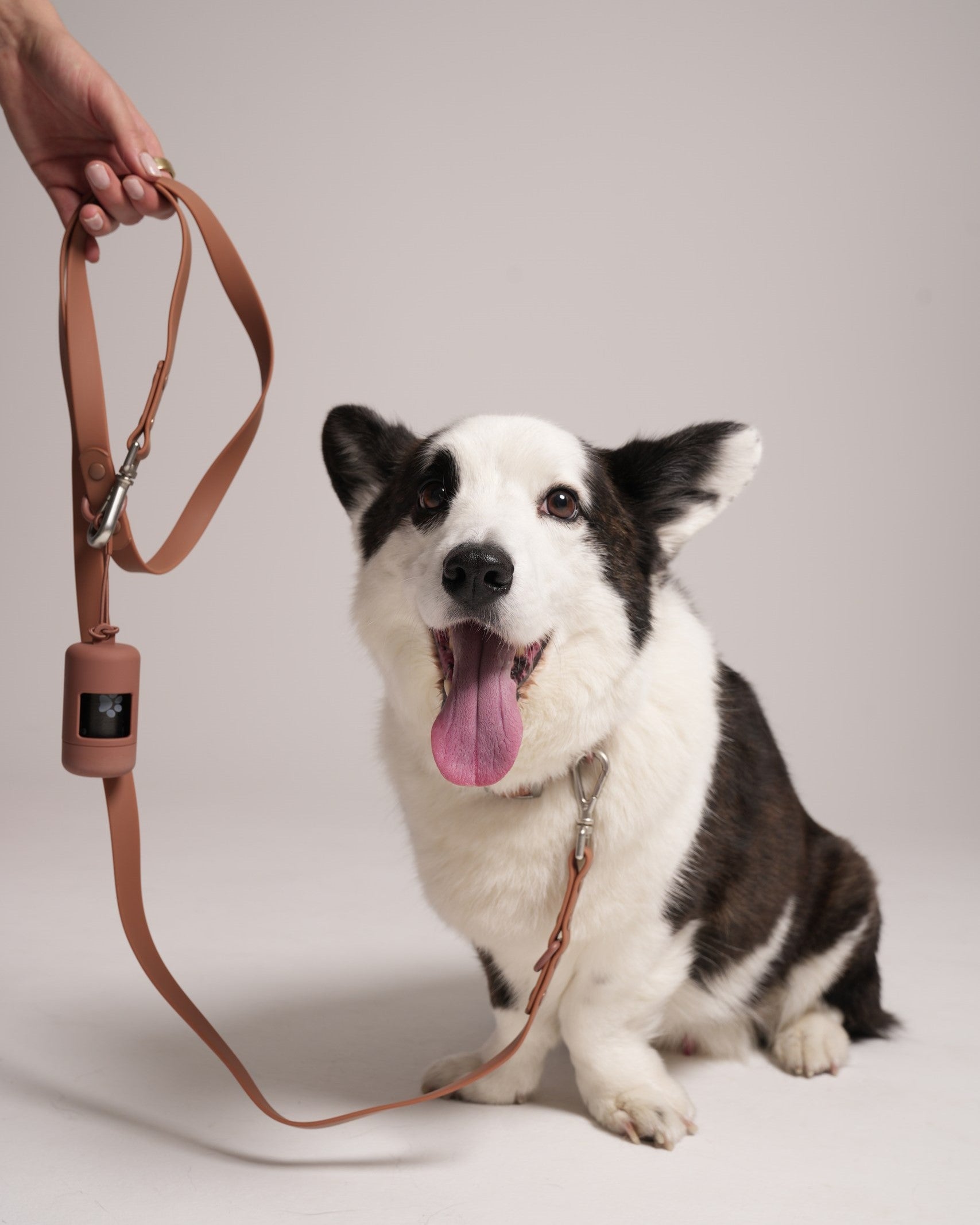 Collar Walk Set