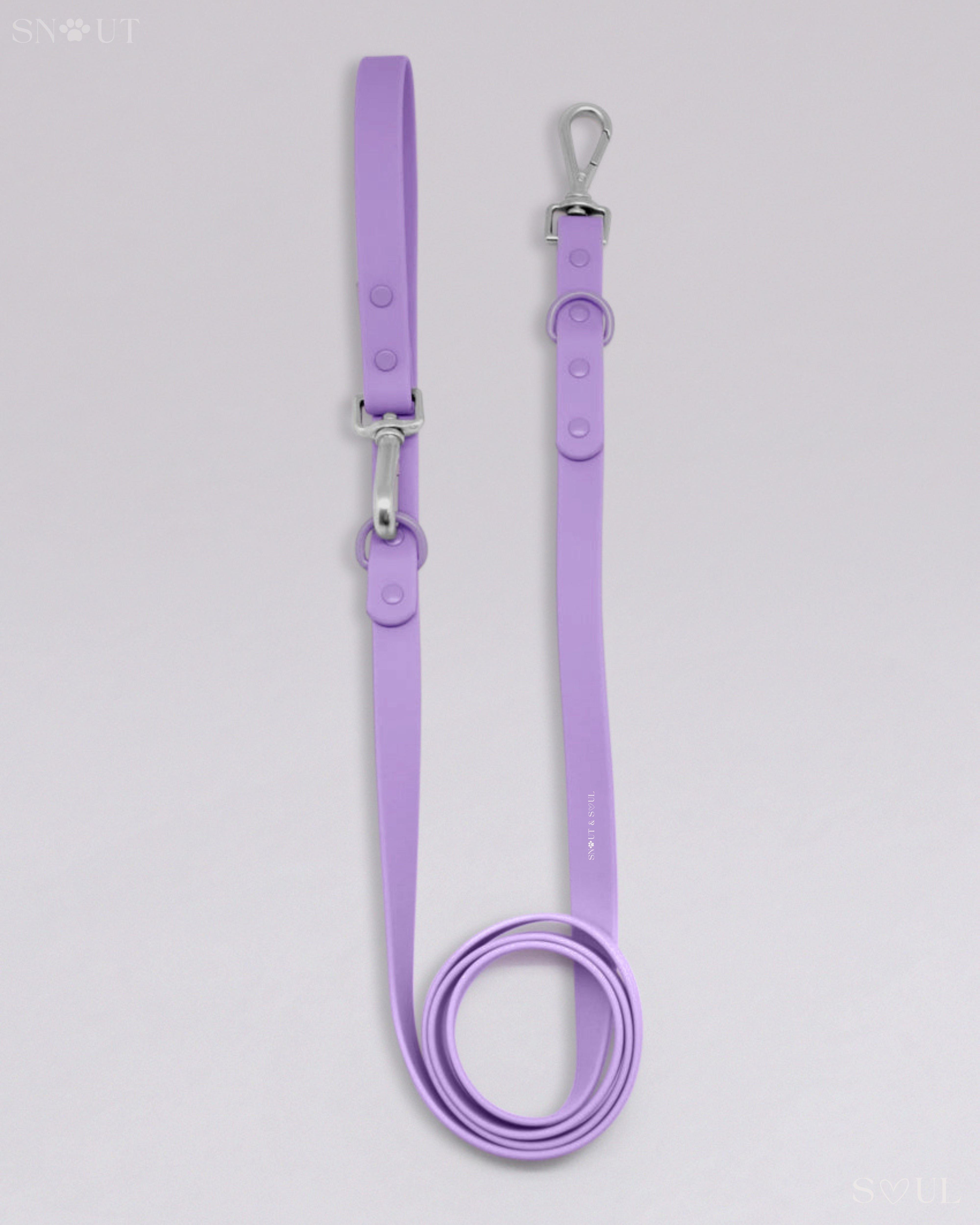 Leash