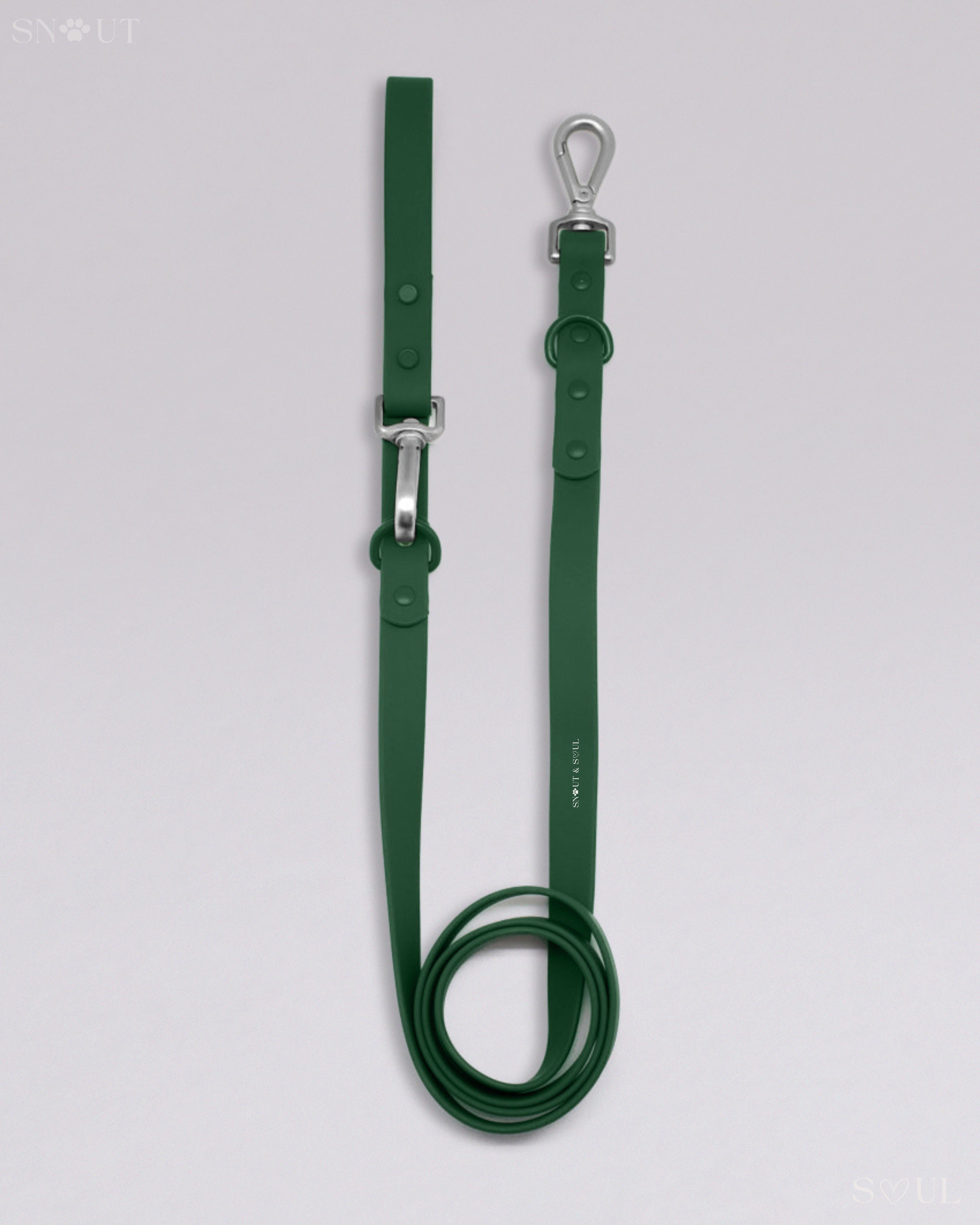 Leash