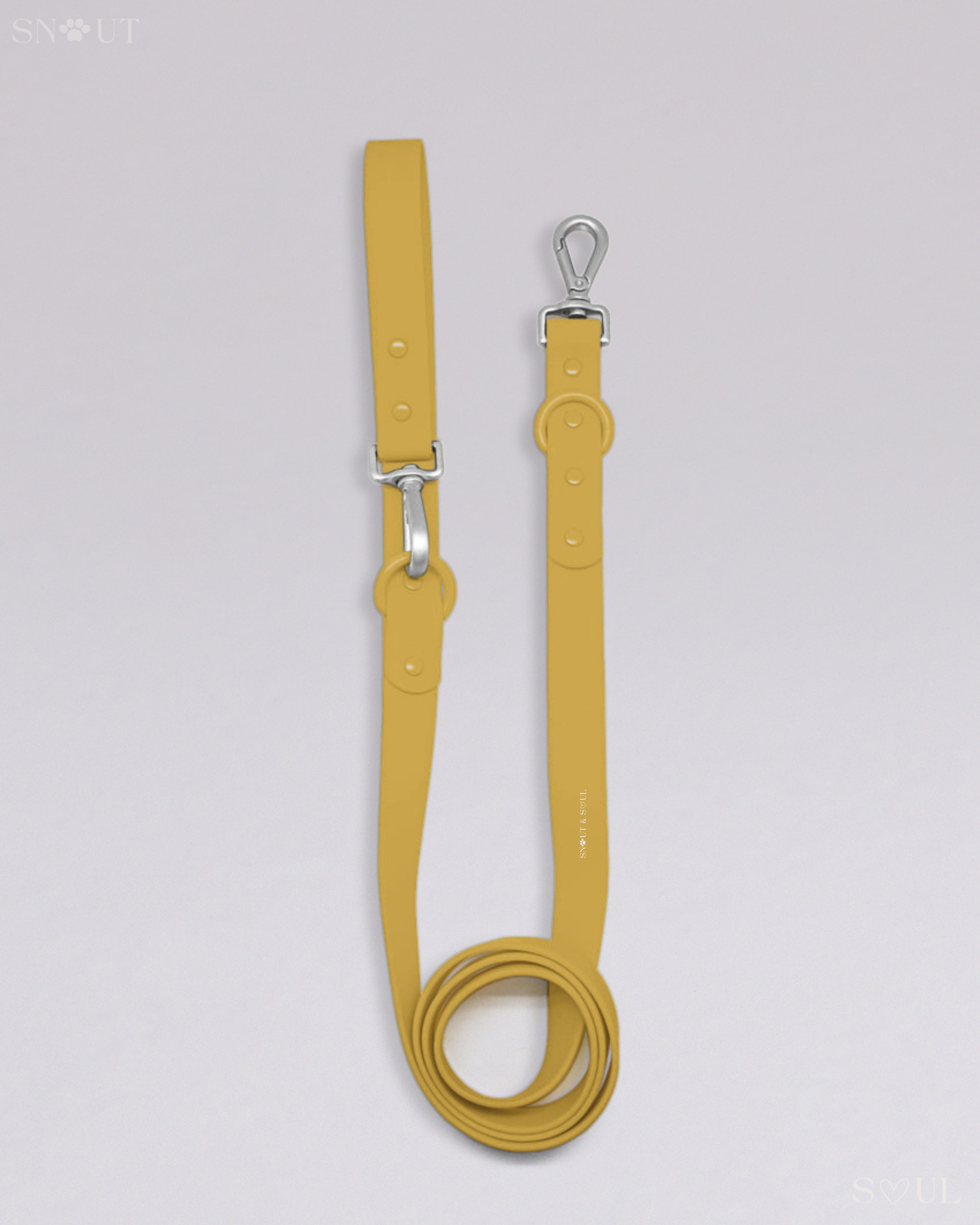 Leash