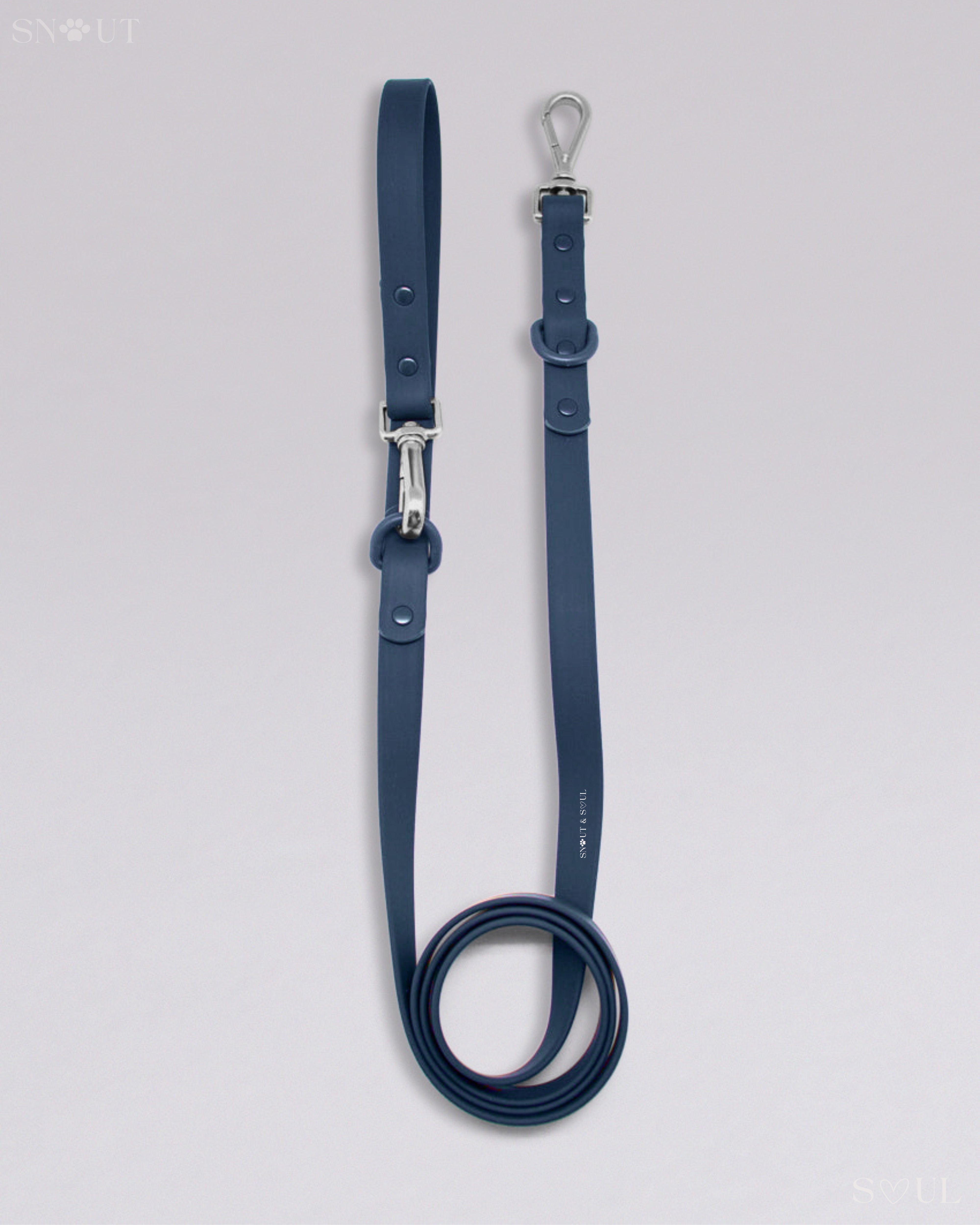 Leash