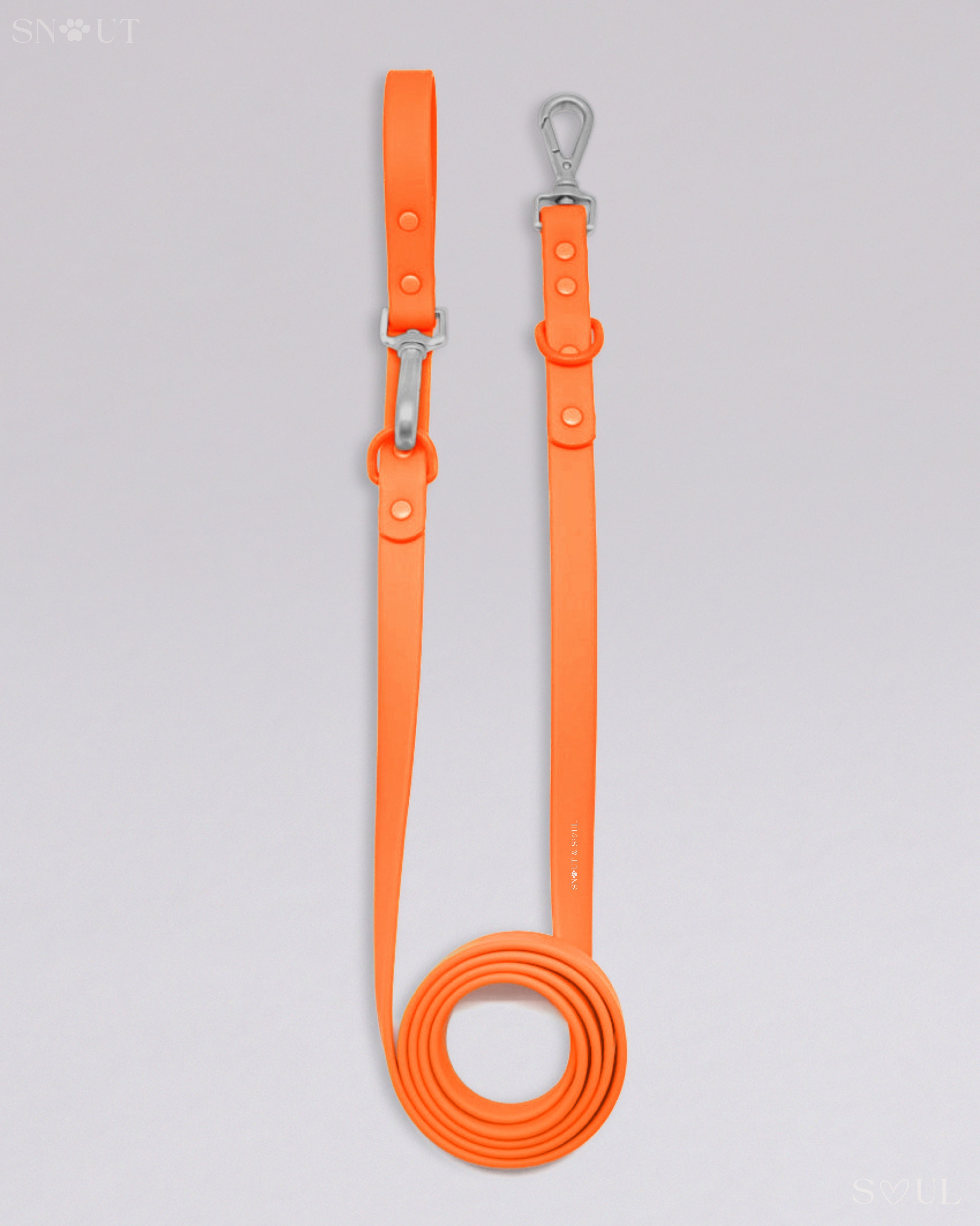 Leash