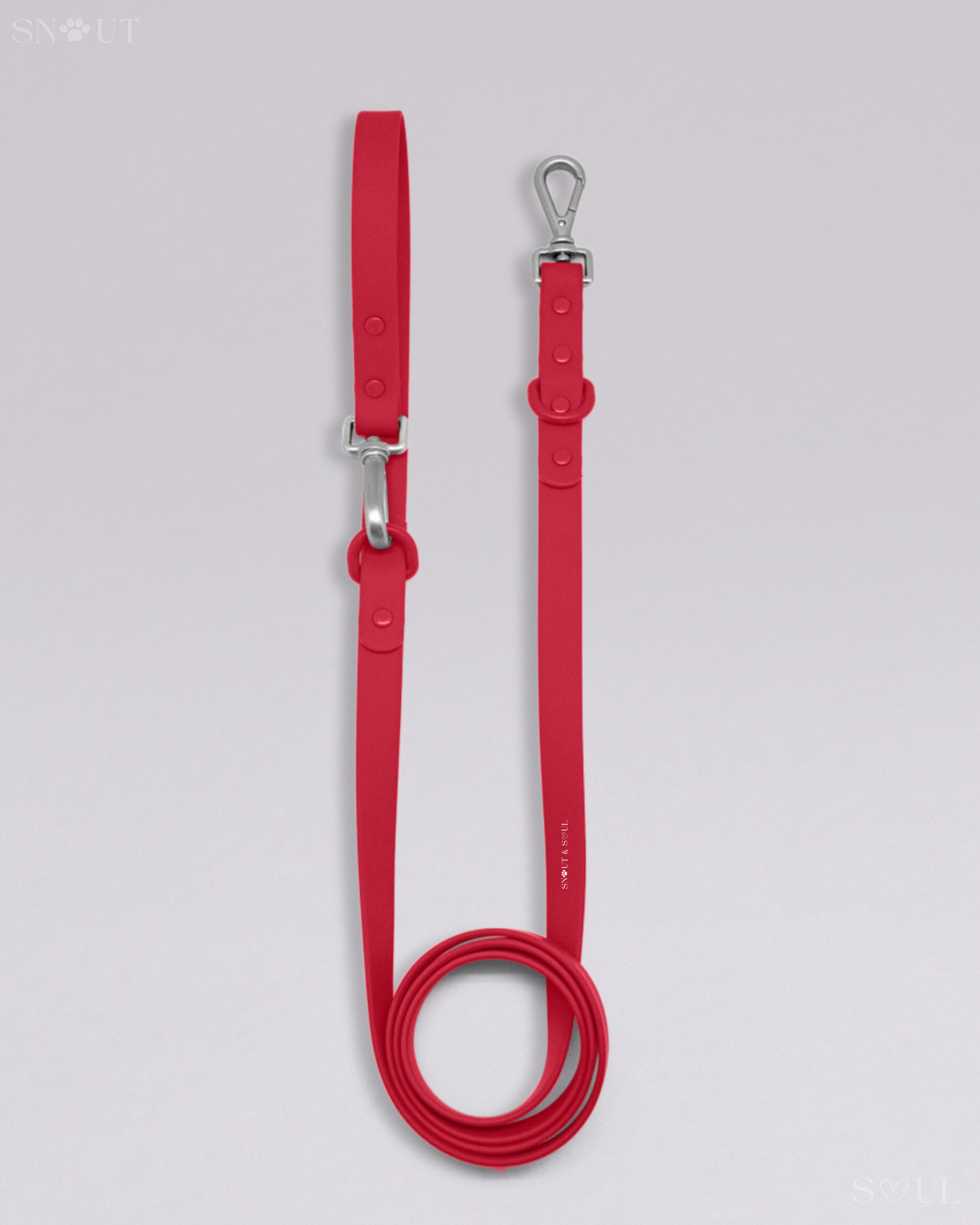 Leash