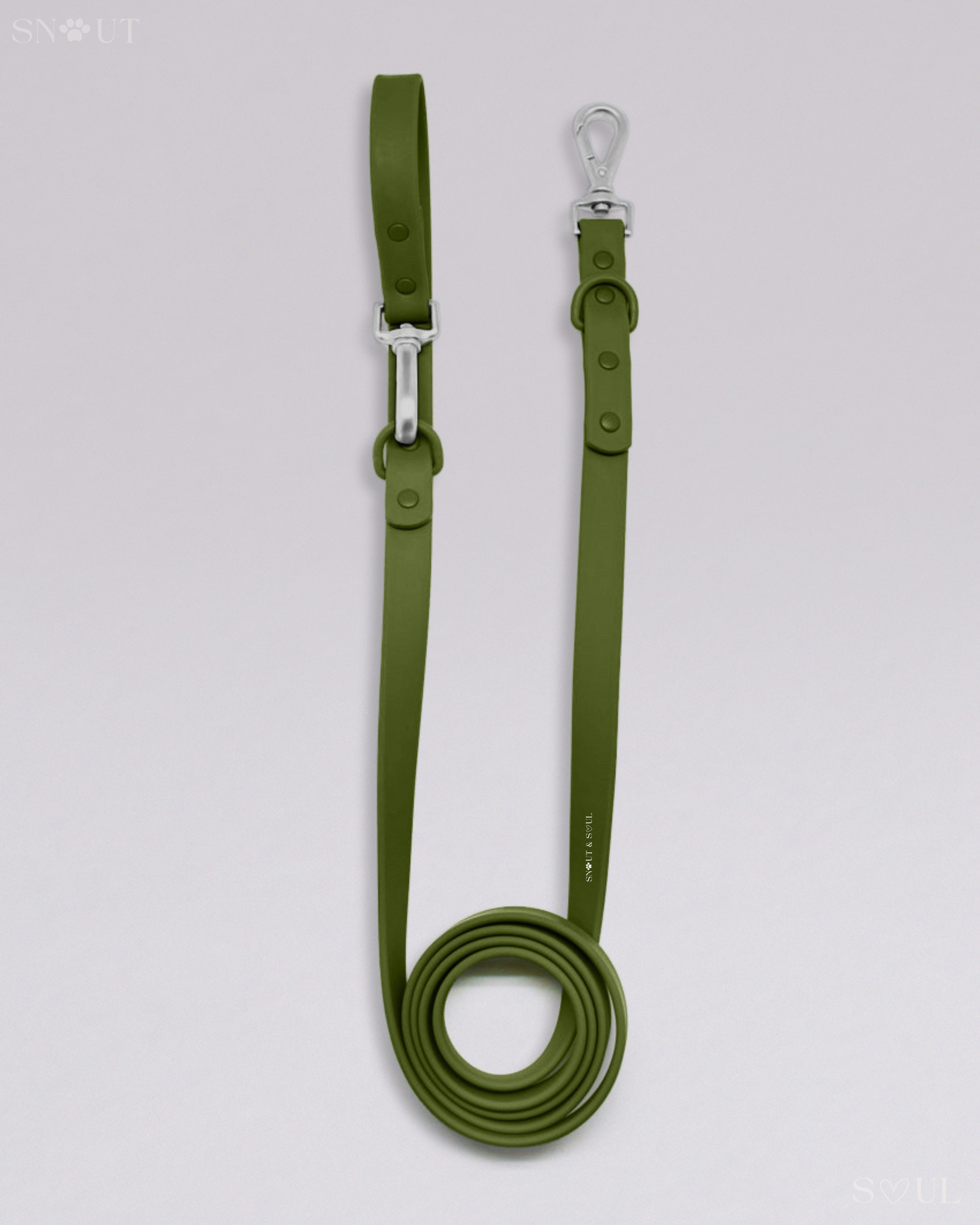 Leash