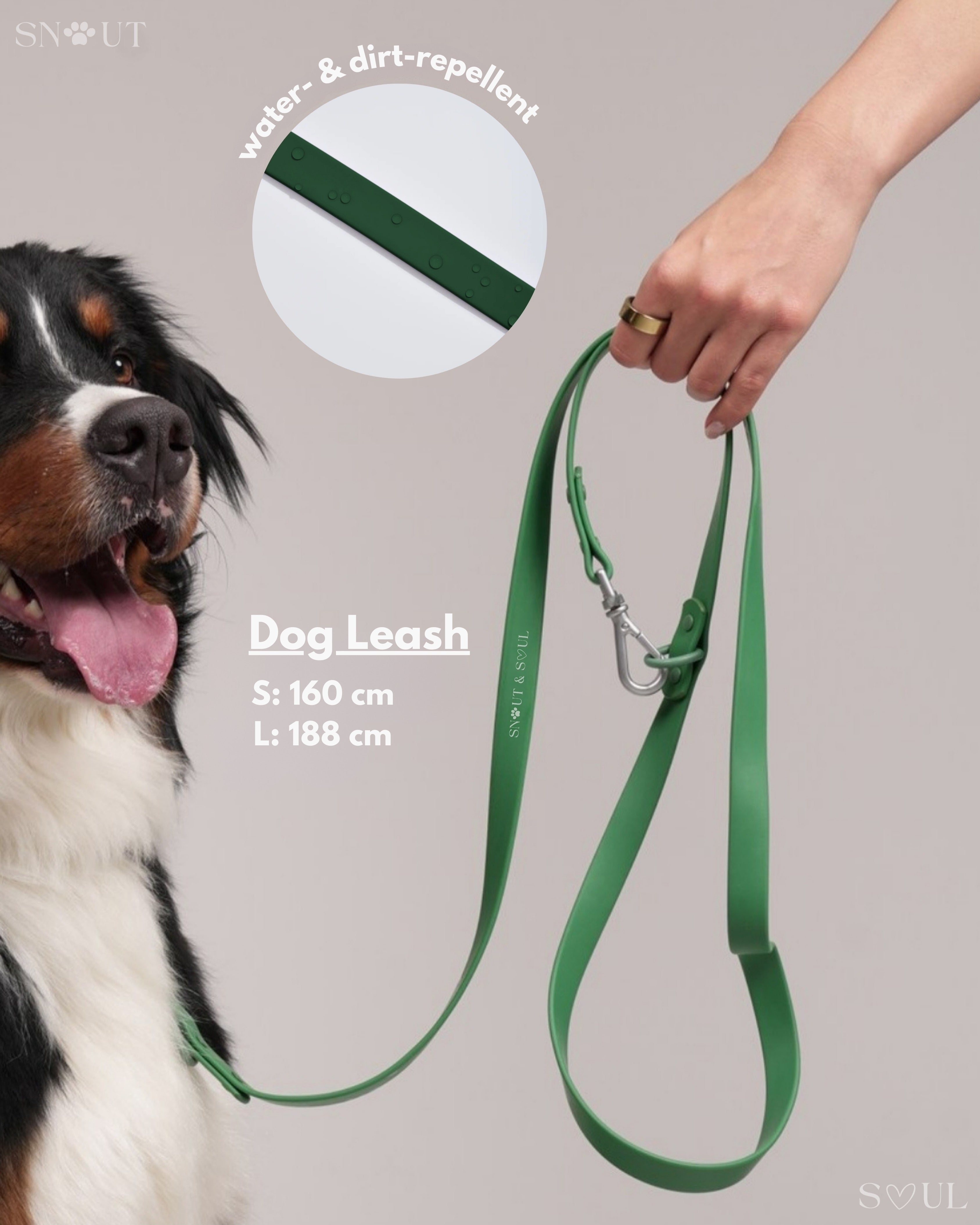 Collar Walk Set