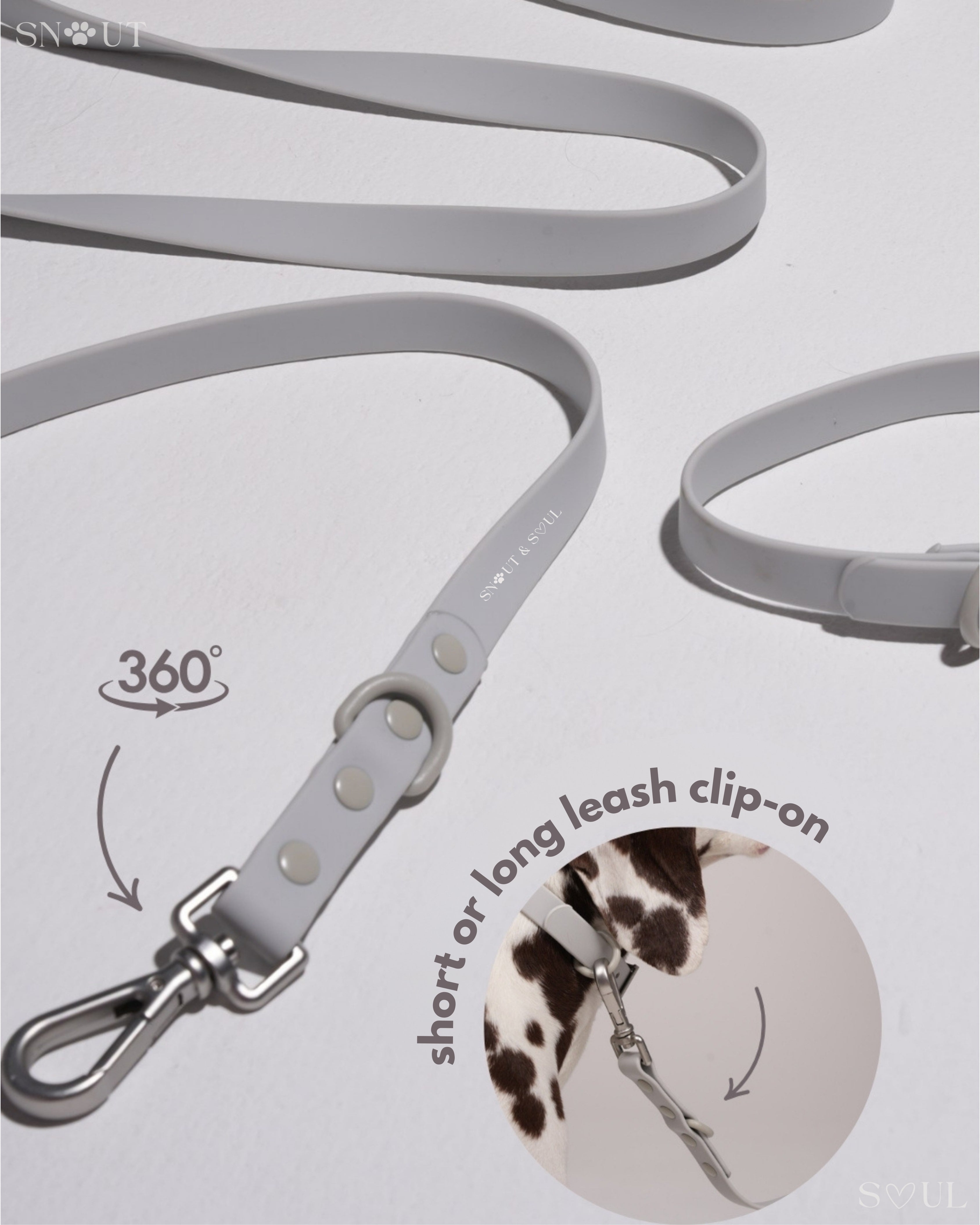 Collar Walk Set