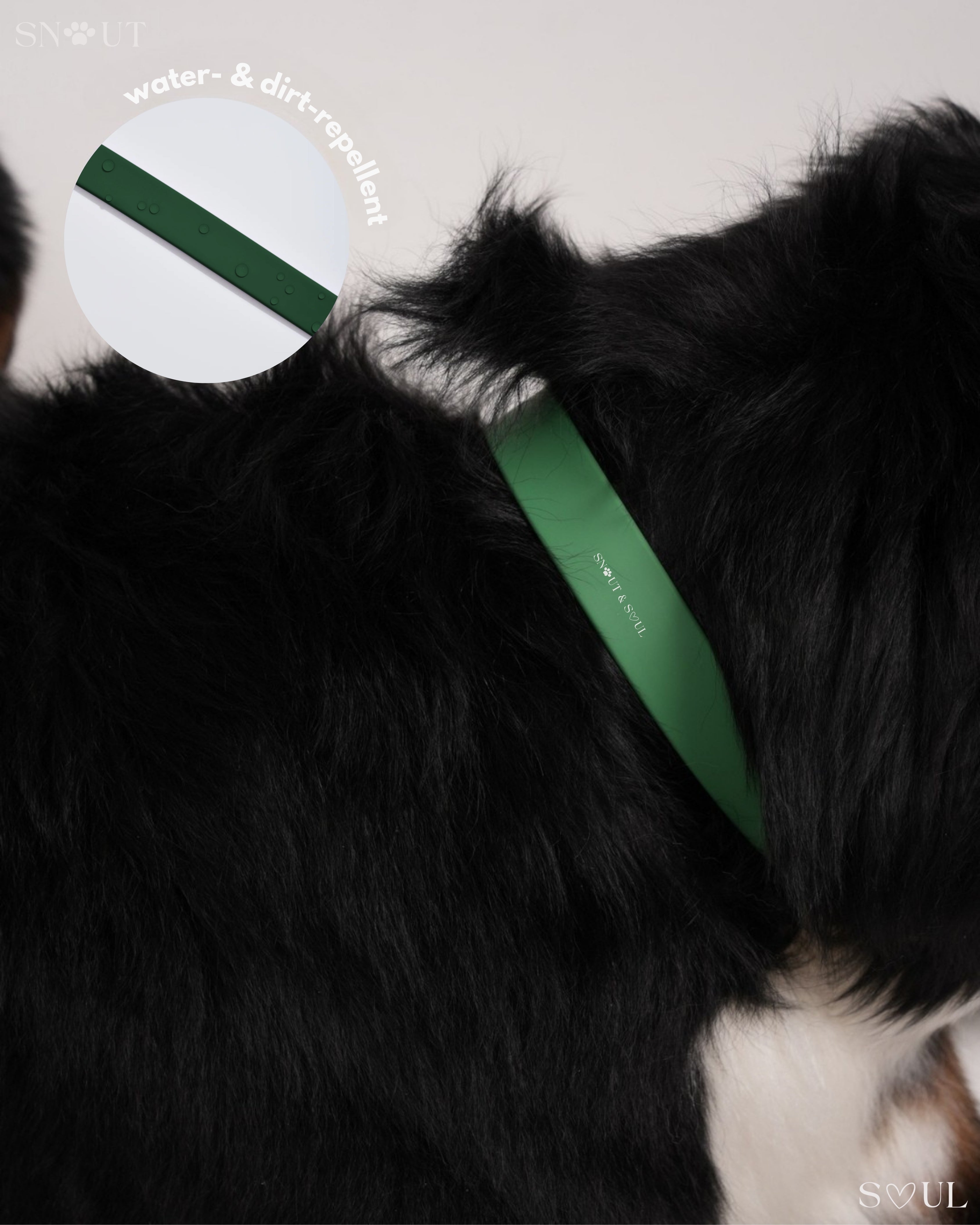 Collar