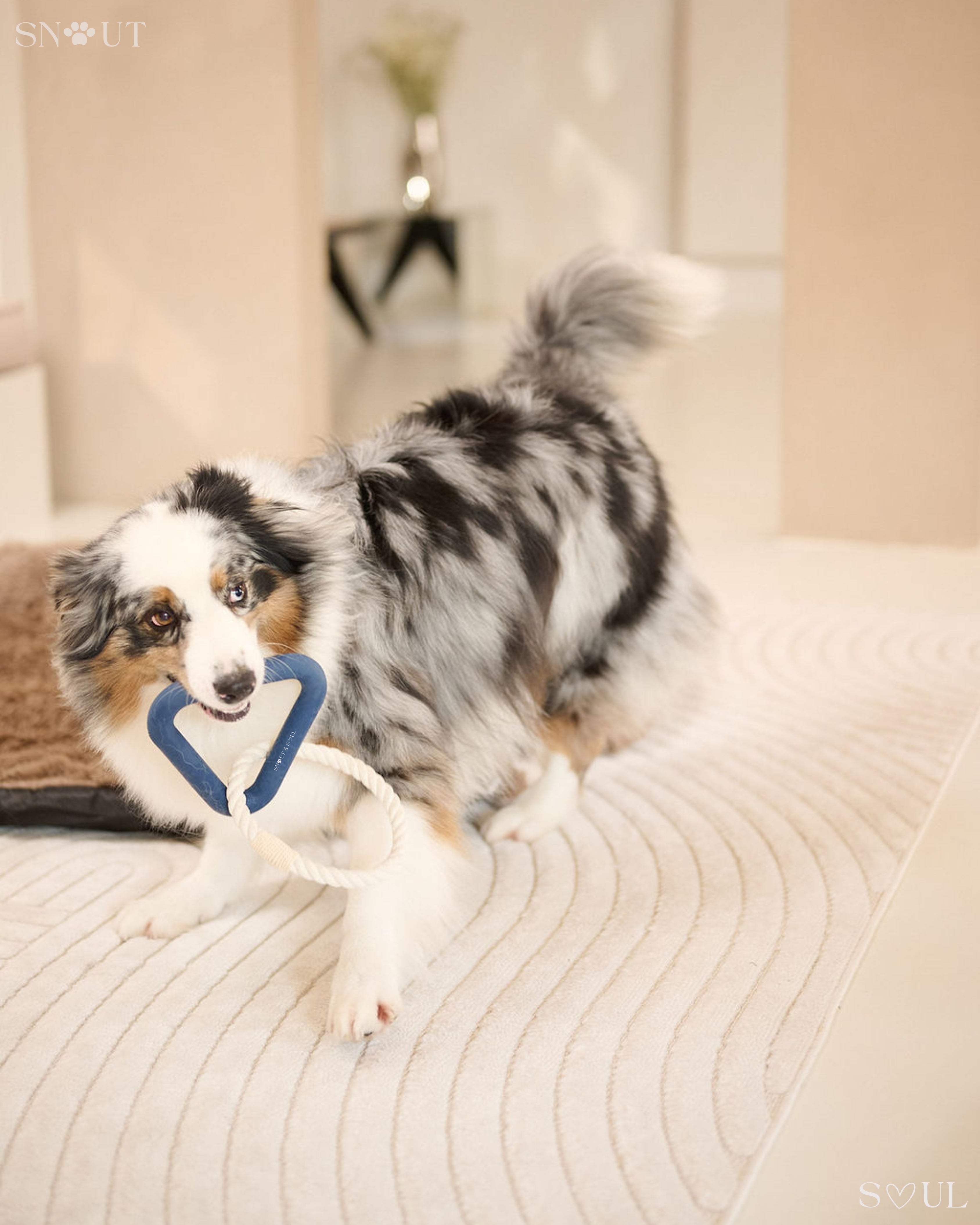 Triangle Tug Toy