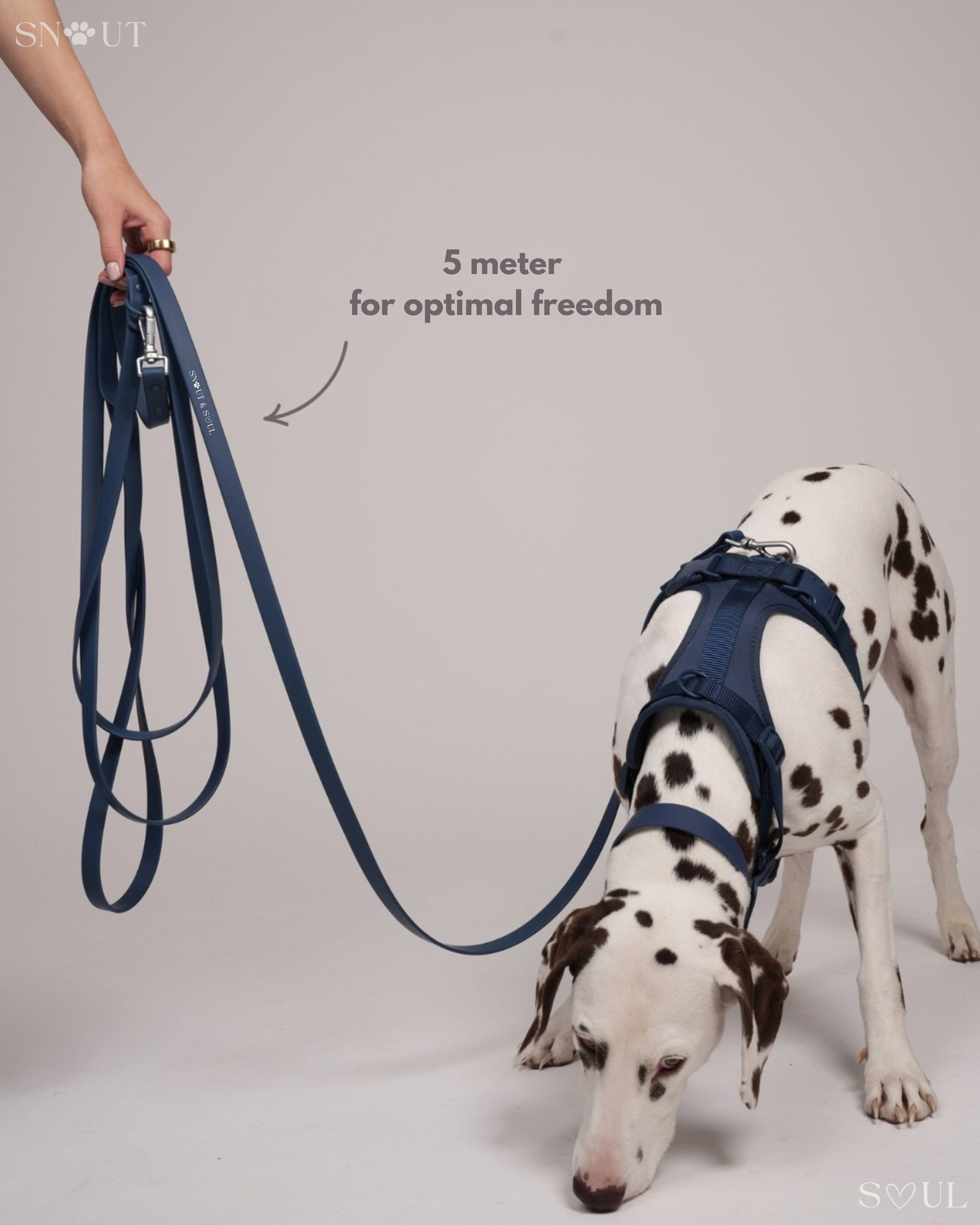 Long Leash