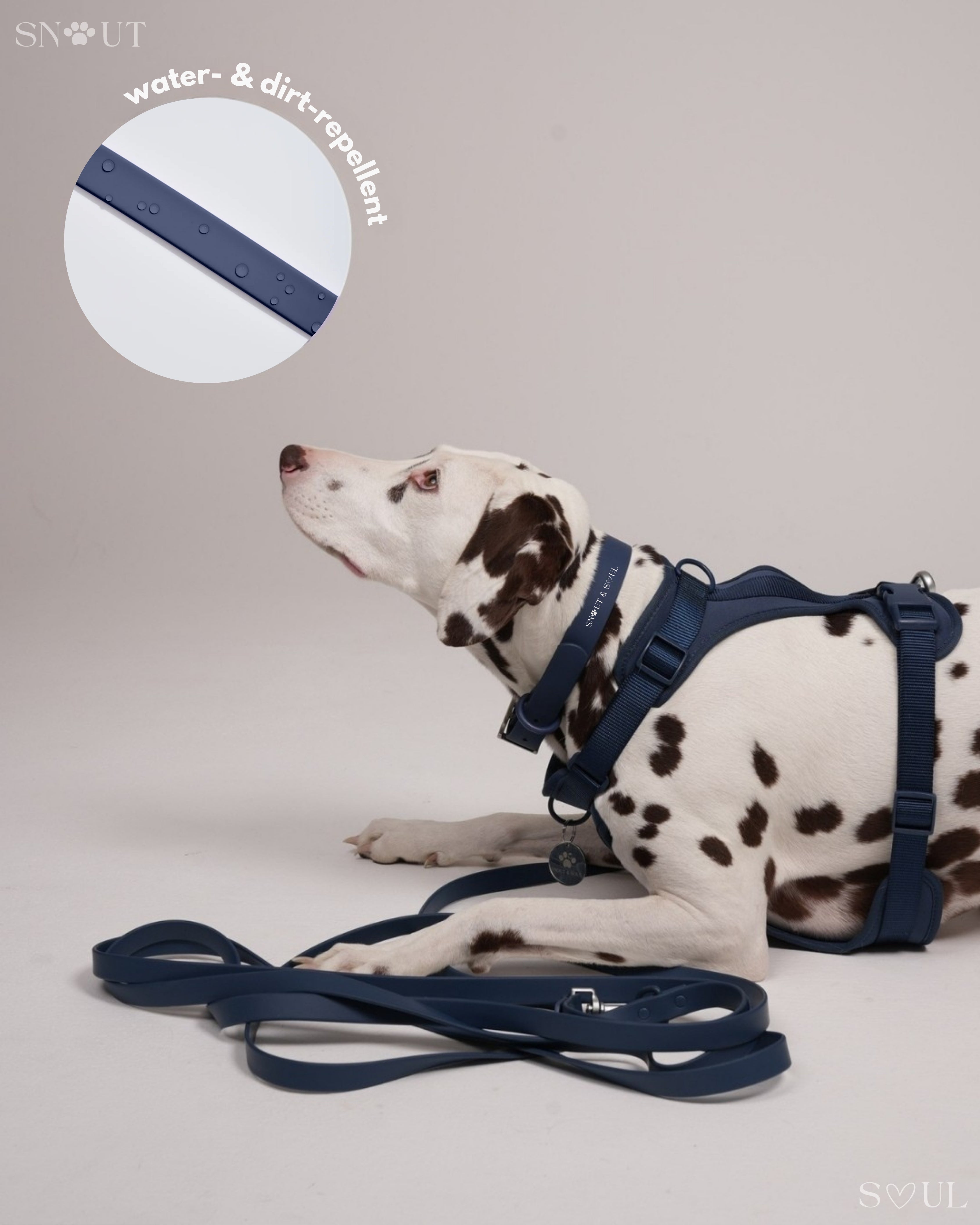 Long Leash