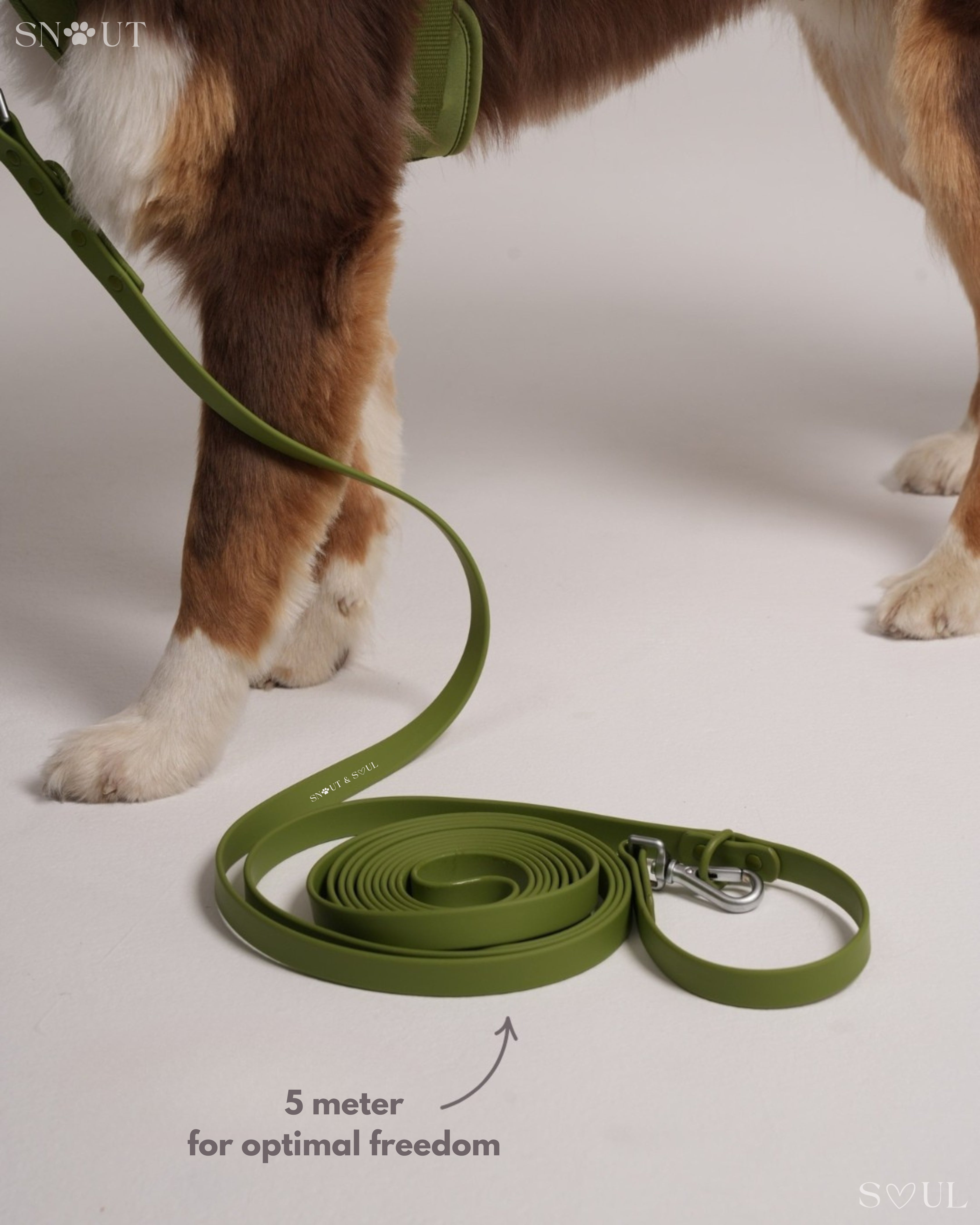 Long Leash
