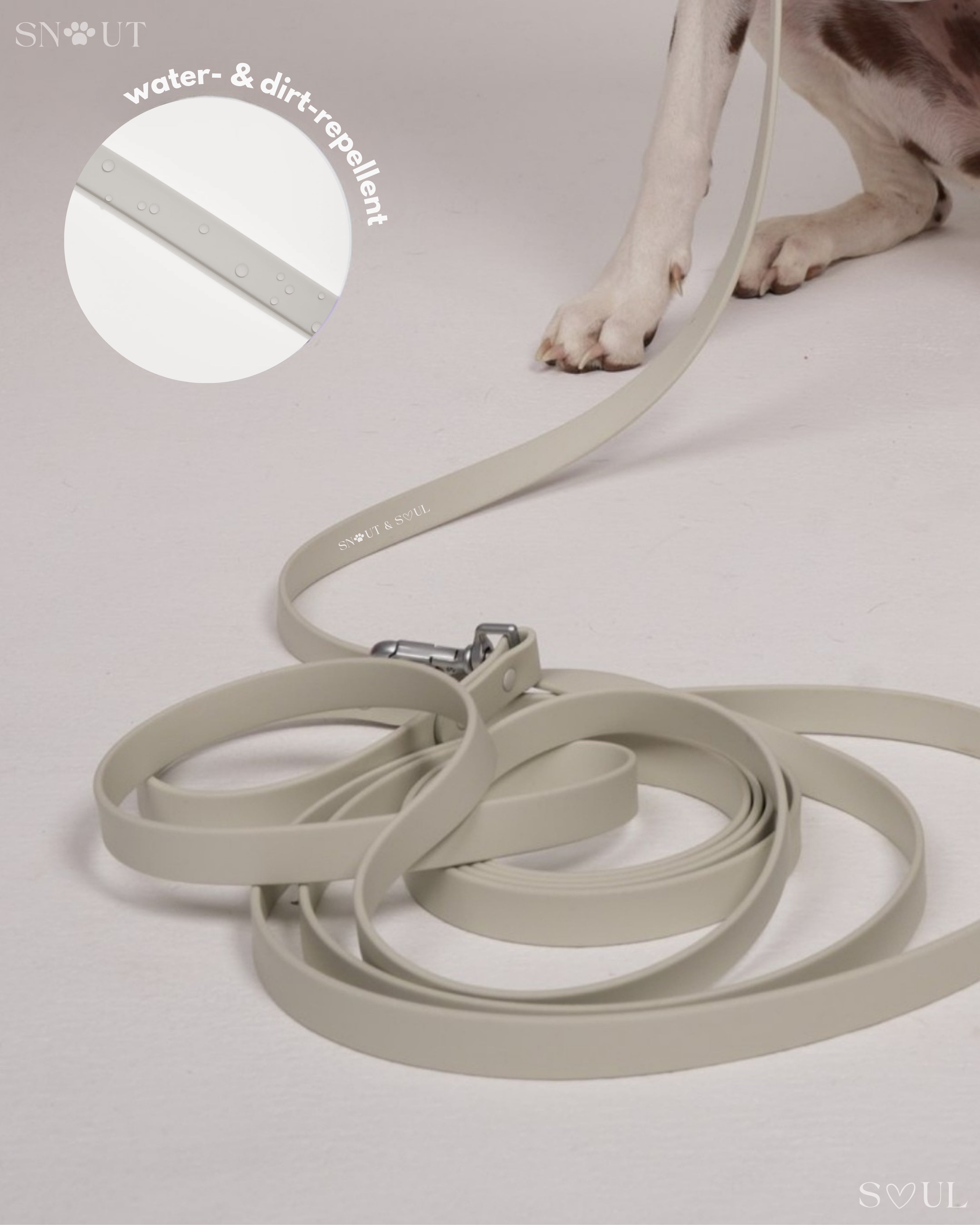 Long Leash