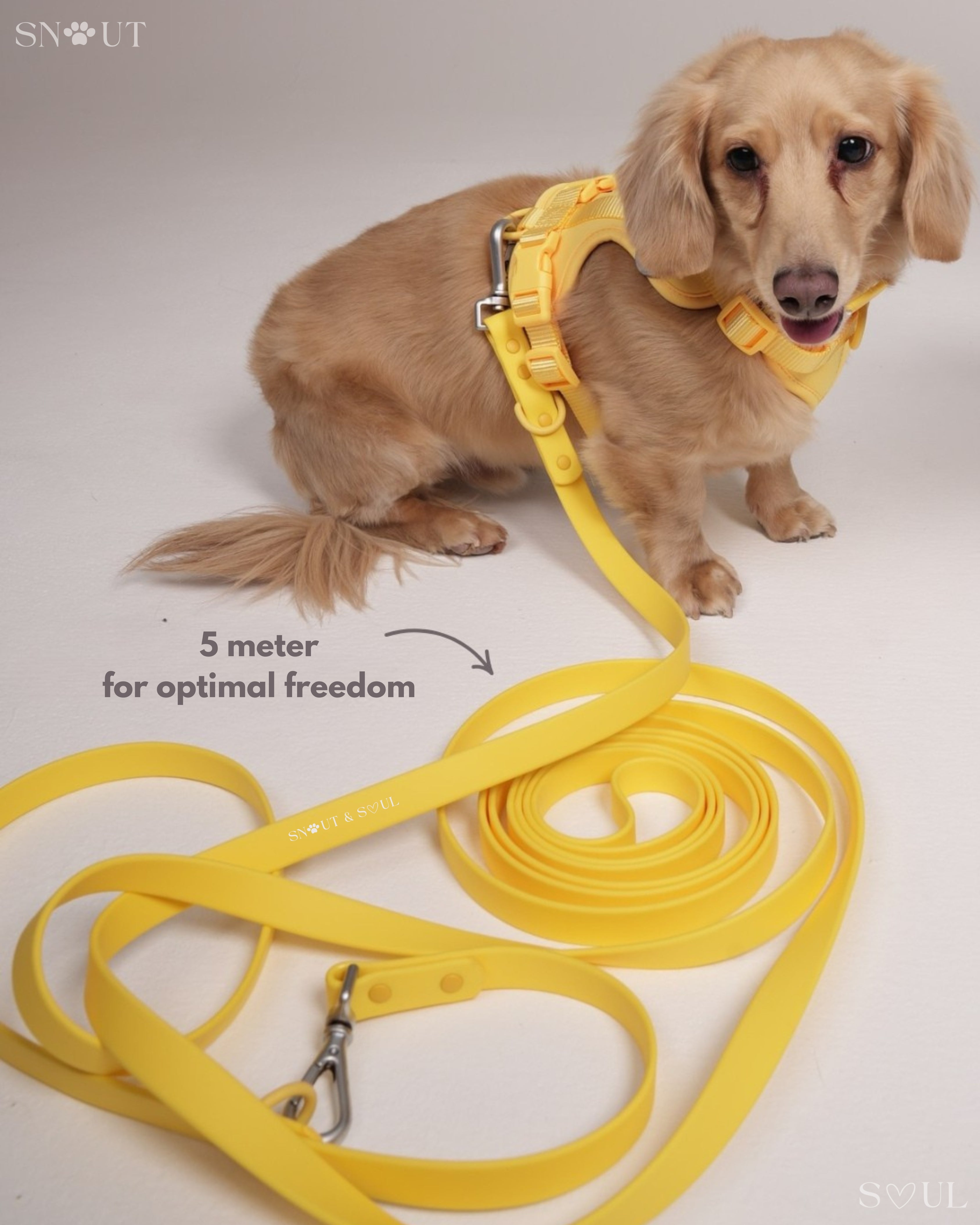 Long Leash