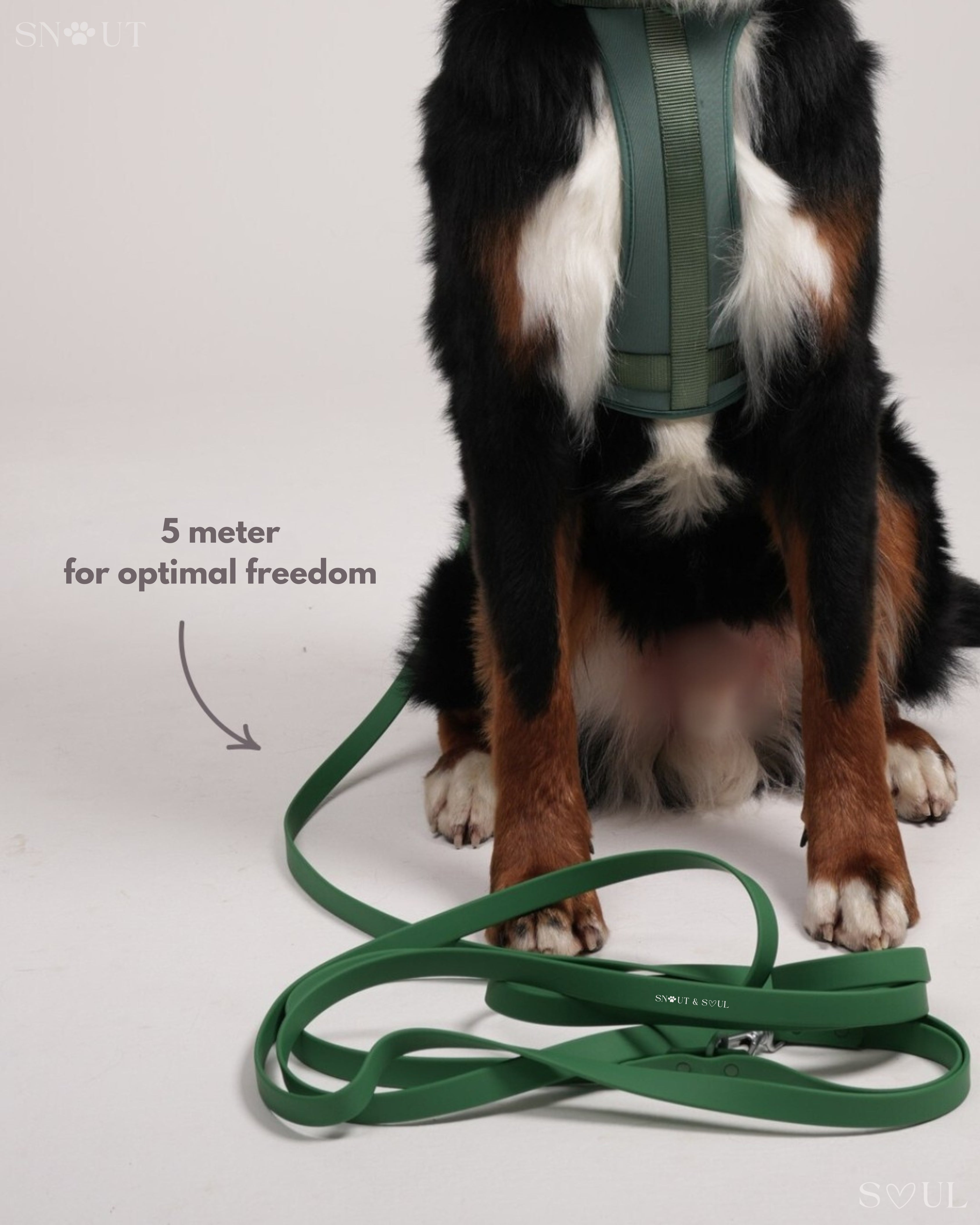 Long Leash