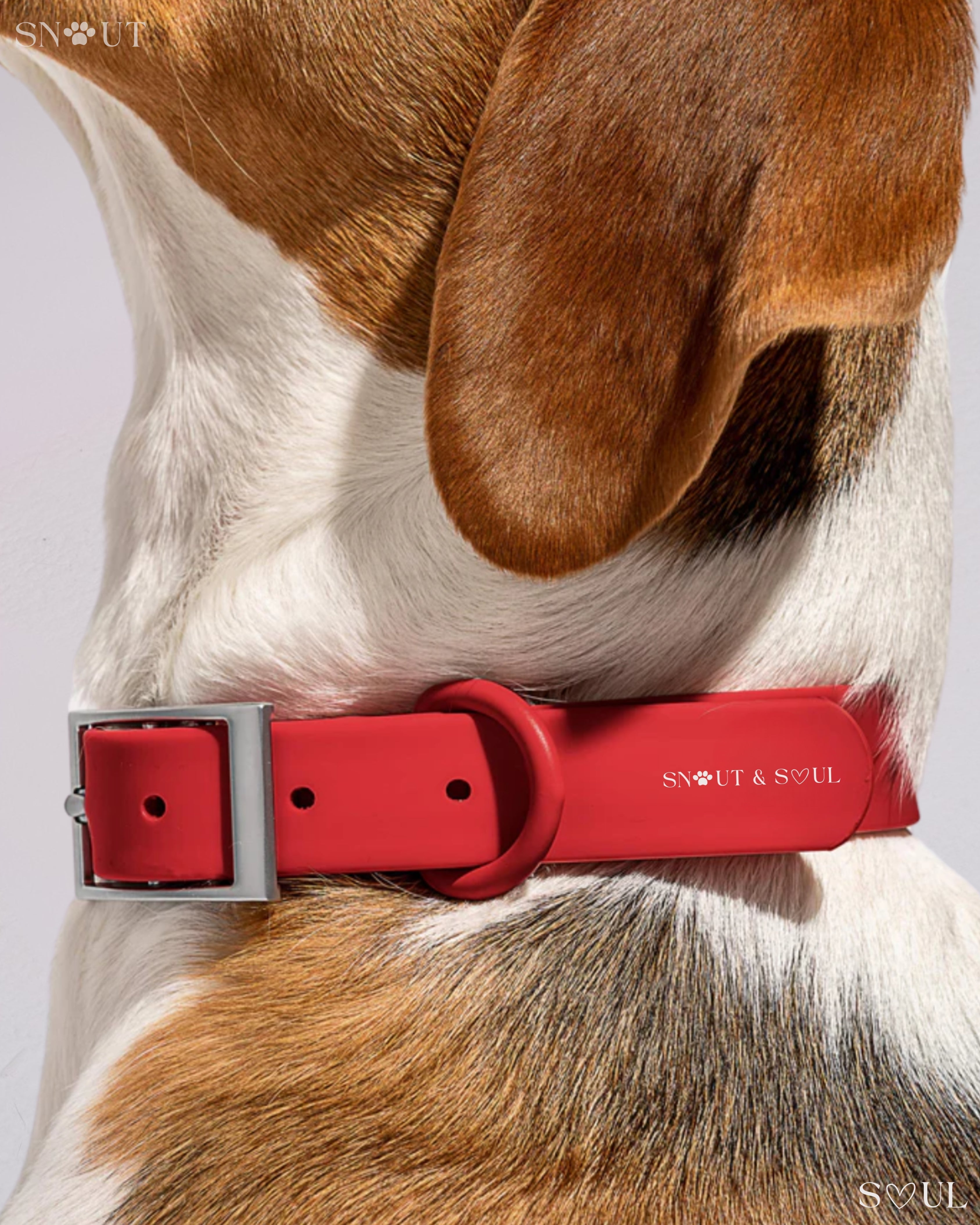 Harness Walk & Play Set