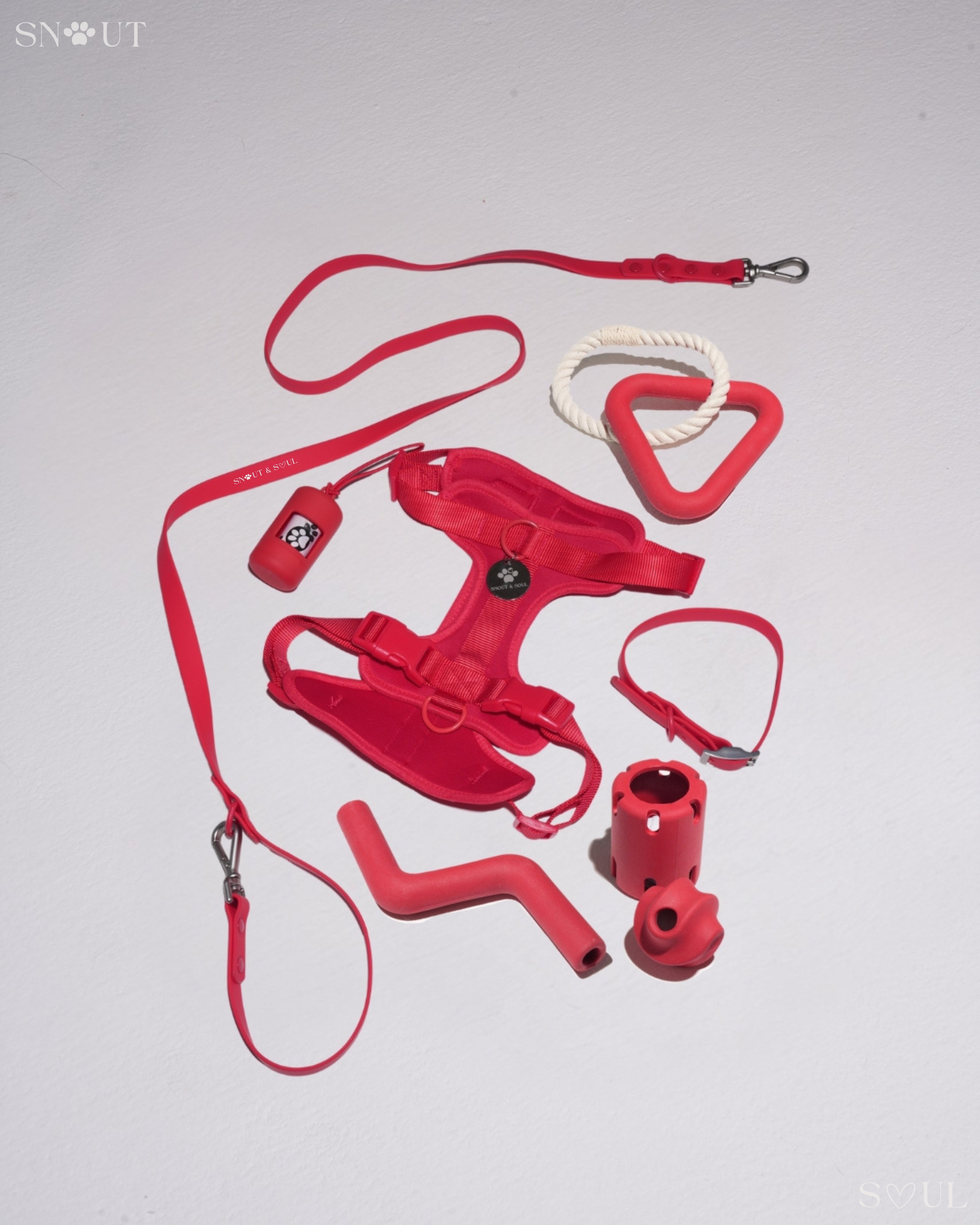 Harness Walk & Play Set