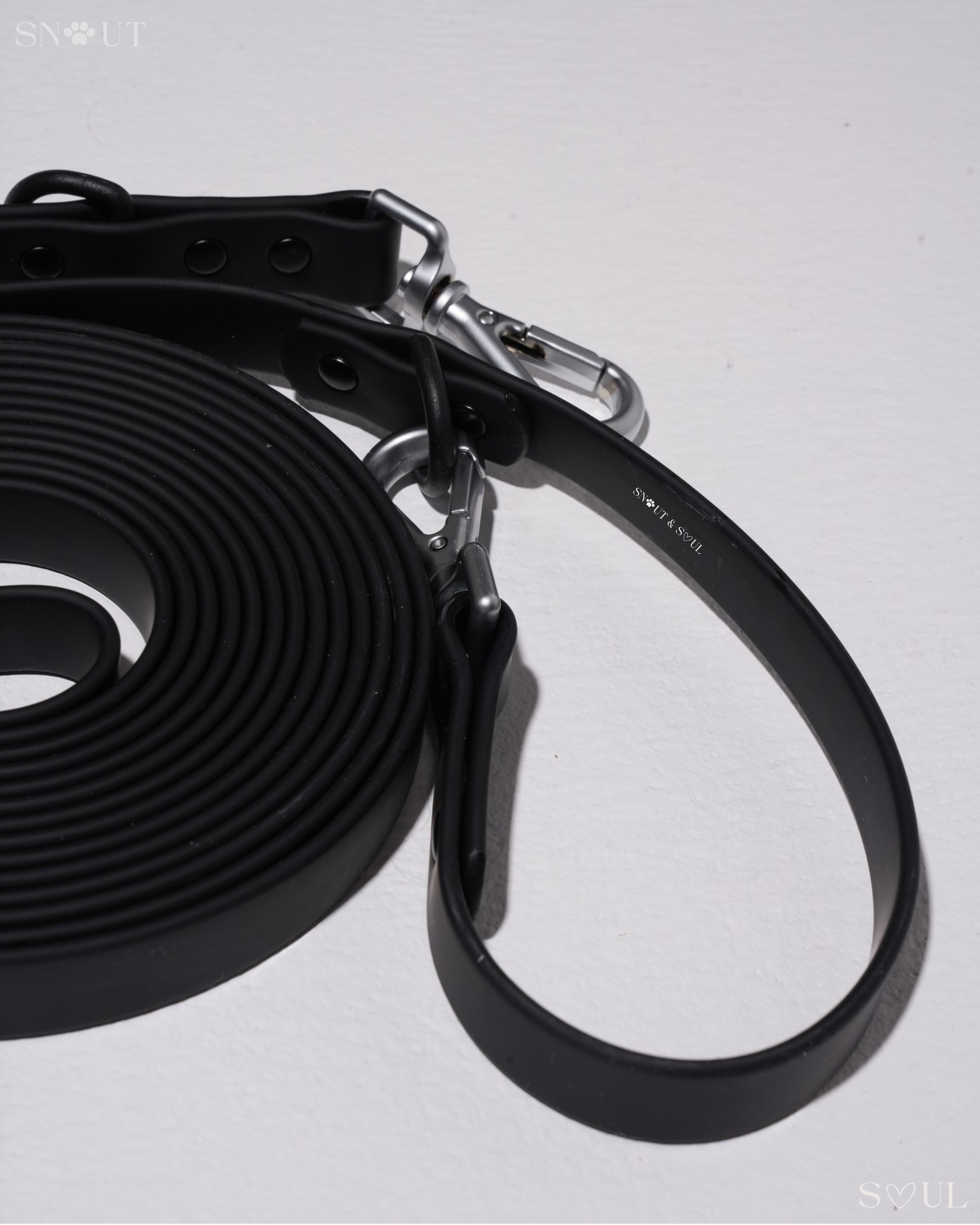Long Leash