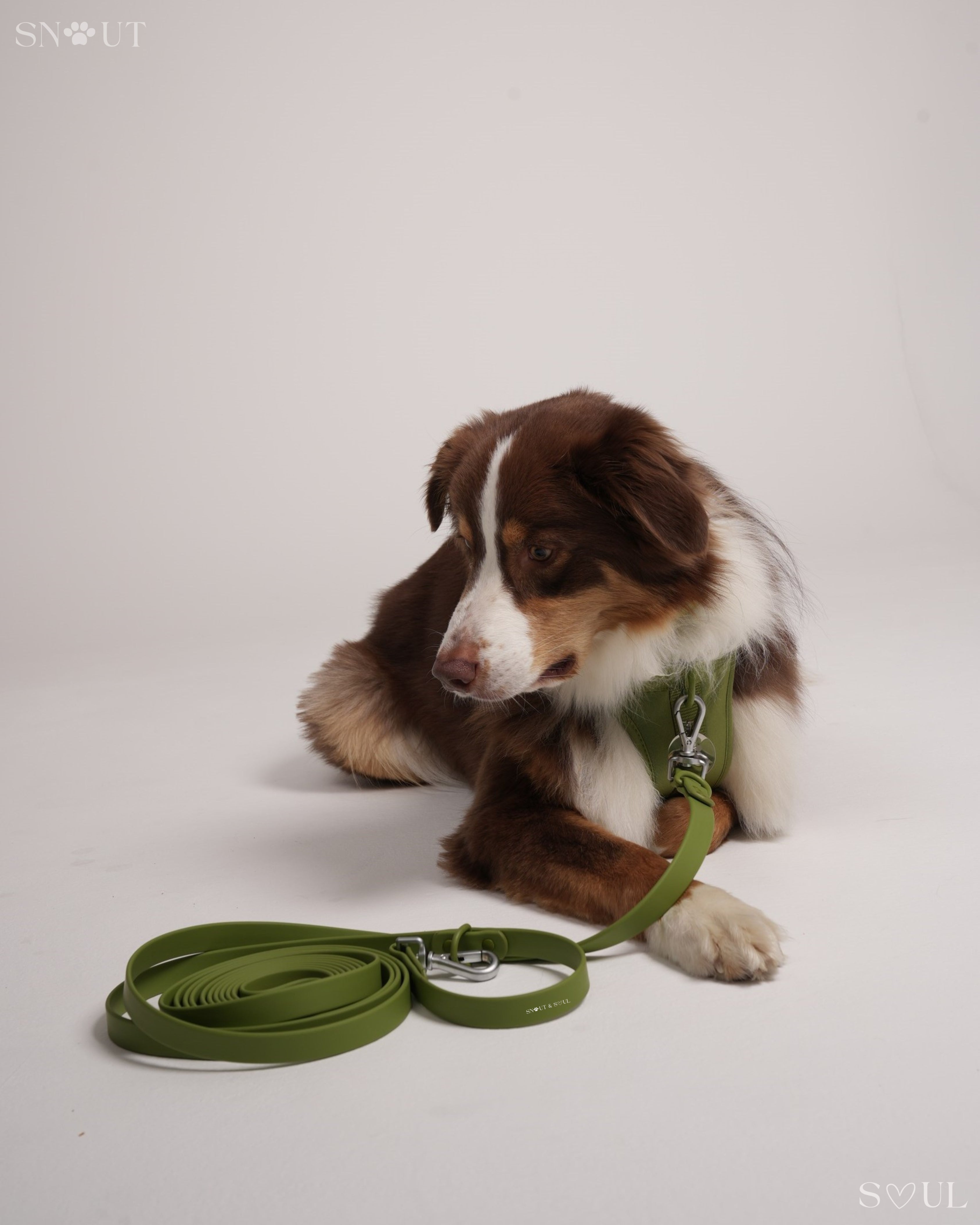 Long Leash